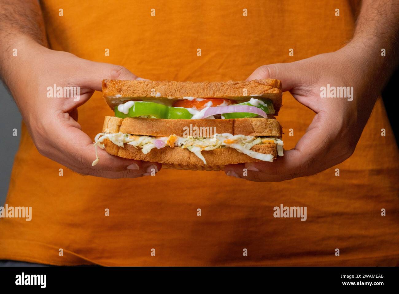 Ein Erwachsener hält ein Sandwich aus frischen Zutaten in der Hand Stockfoto