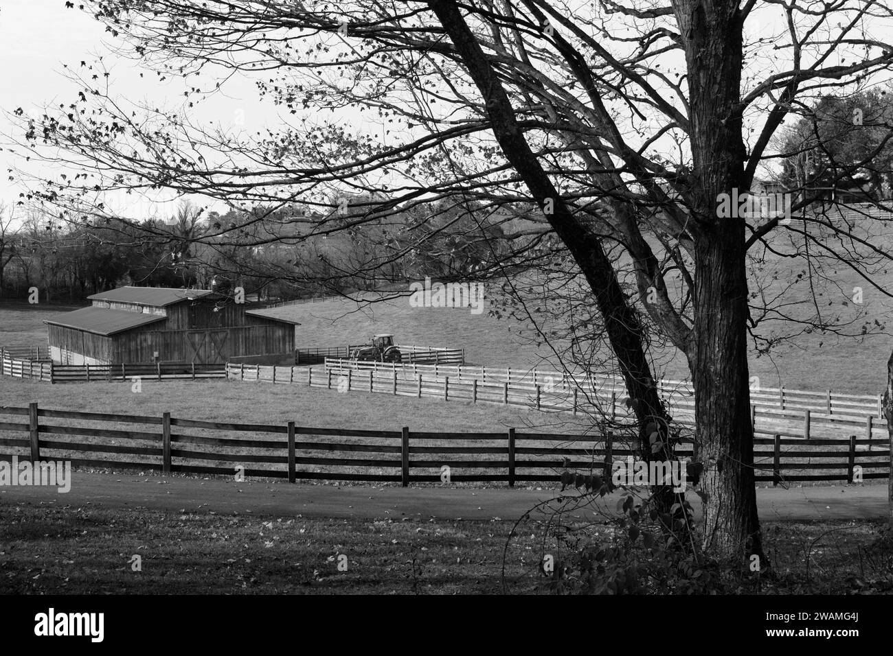 Eine Rinderscheune und Zäune auf einer Farm in der Nähe von Abingdon, Virginia. Stockfoto