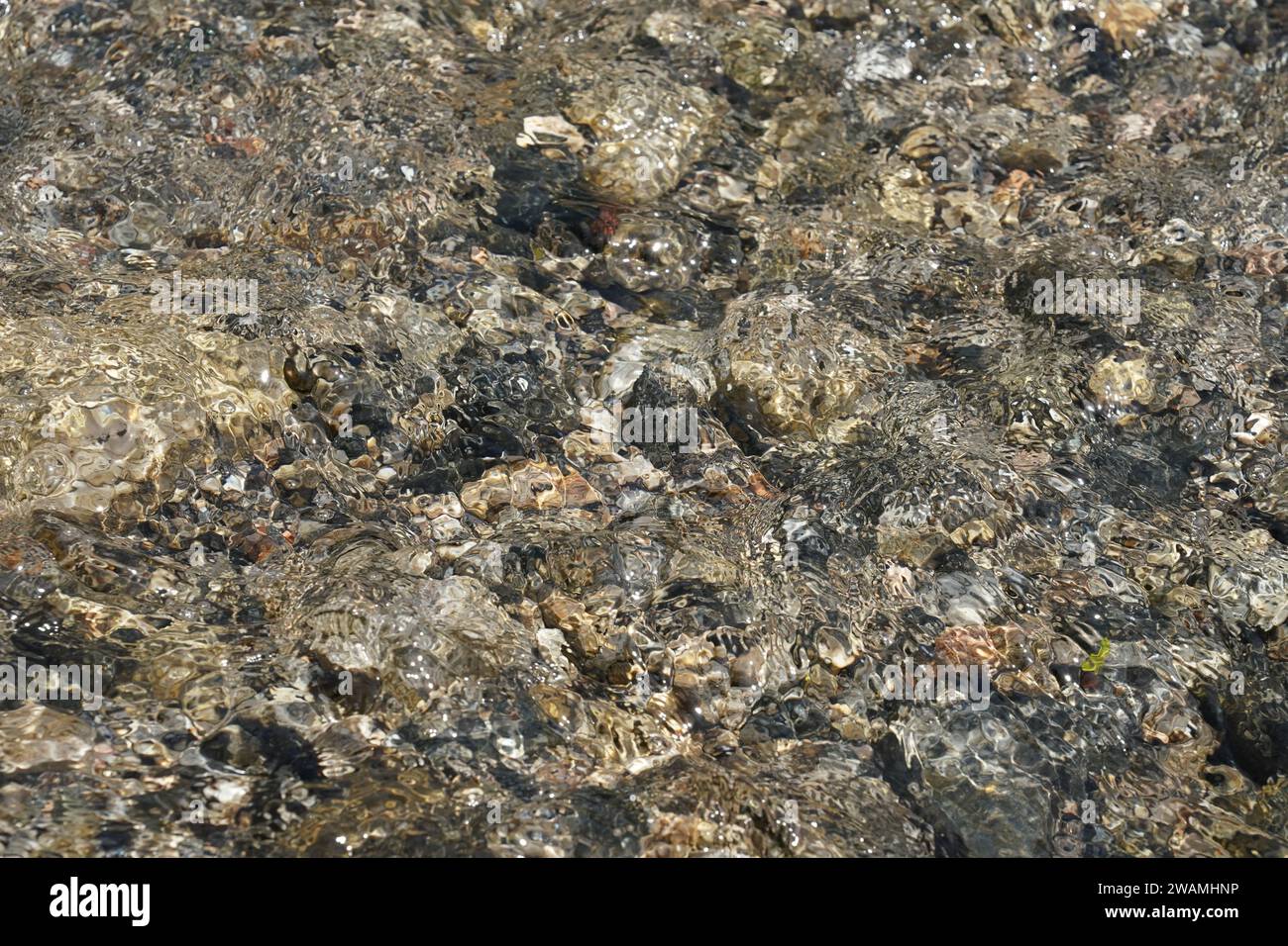 Bergfluss klares, reines Wasser Stockfoto