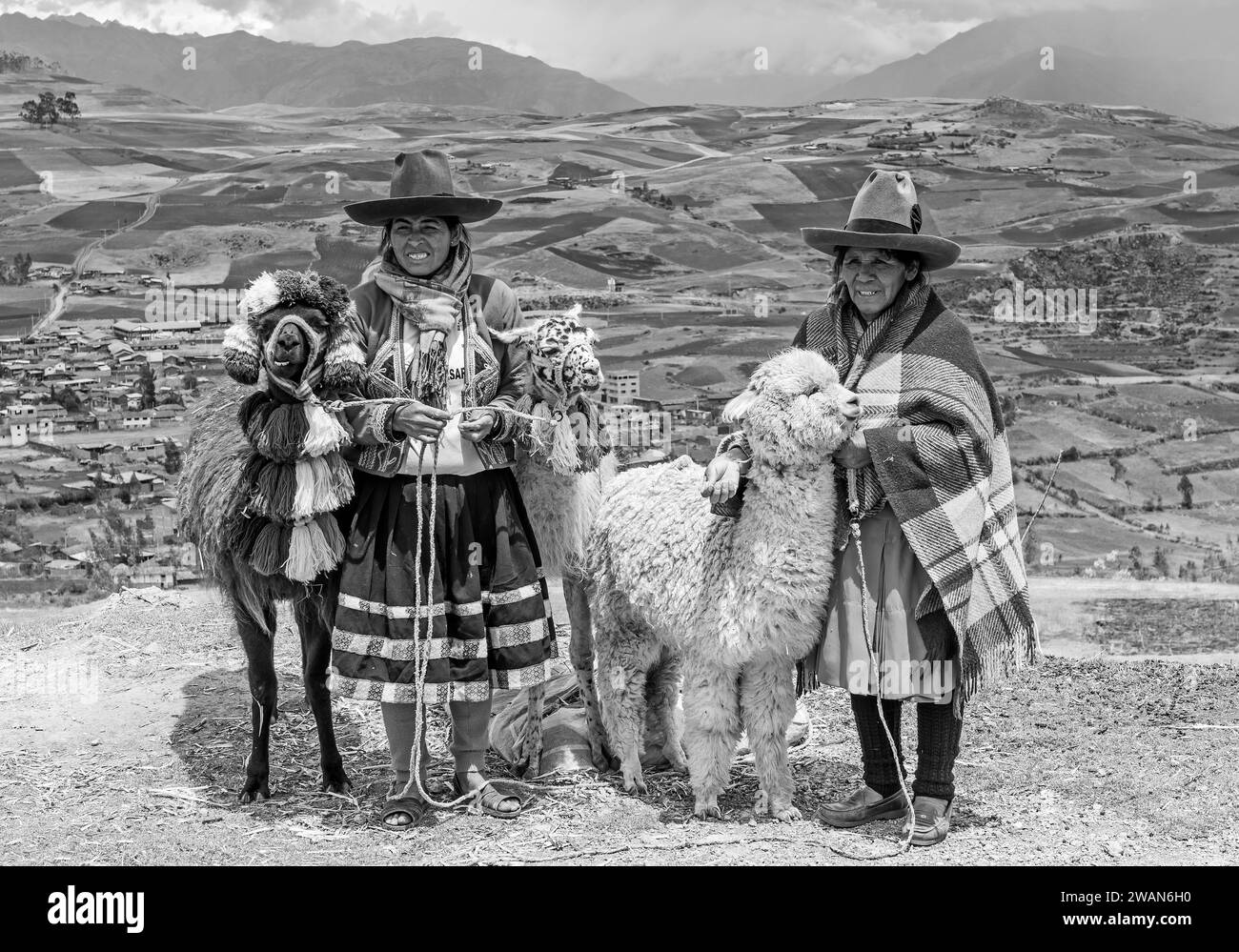 Ländliches Porträt von peruanischen Quechua-indigenen Frauen in traditioneller Kleidung mit Haustieren, zwei Lama und ein Alpaka in Cusco, Peru. Stockfoto