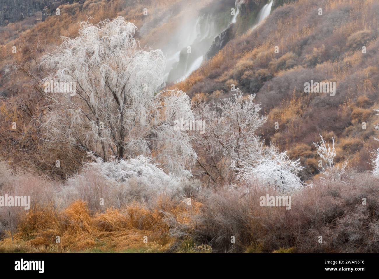 Wasserfall-Sprüheis, Thousand Springs State Park-Ritter Island, Idaho Stockfoto