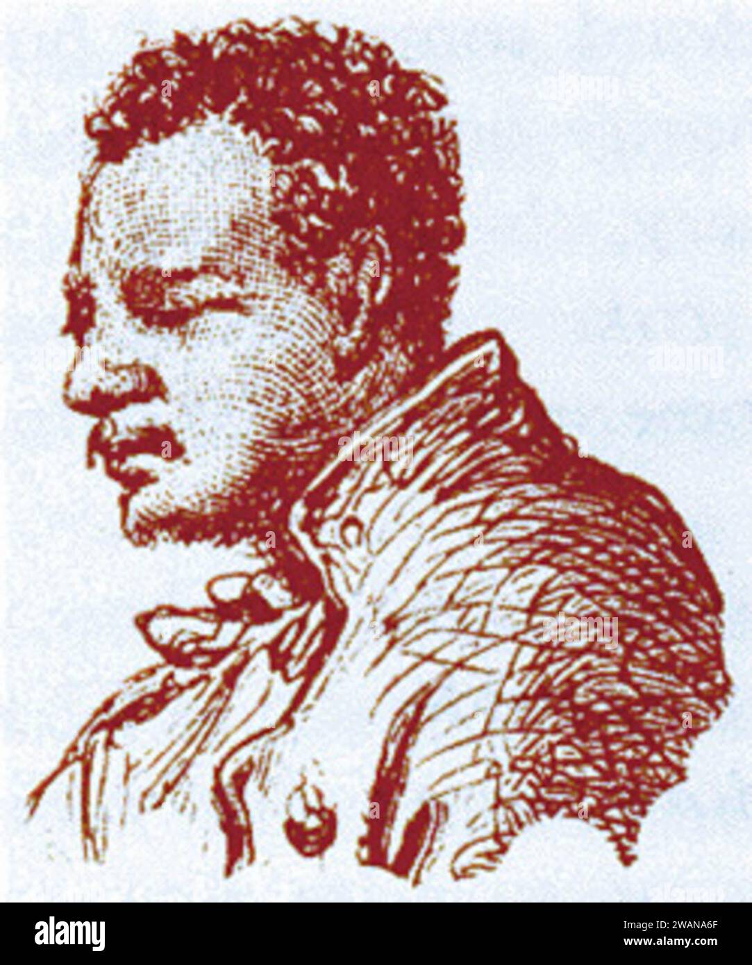 Abschirmungen Grün Stockfoto