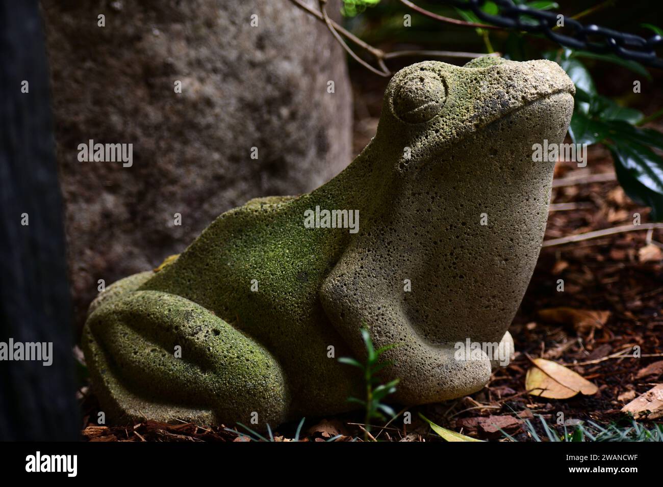 Auckland, Neuseeland. Eine lustige und süße Außenskulptur, die einen Steinfrosch darstellt, der im Sculptureum Park installiert wurde. Stockfoto