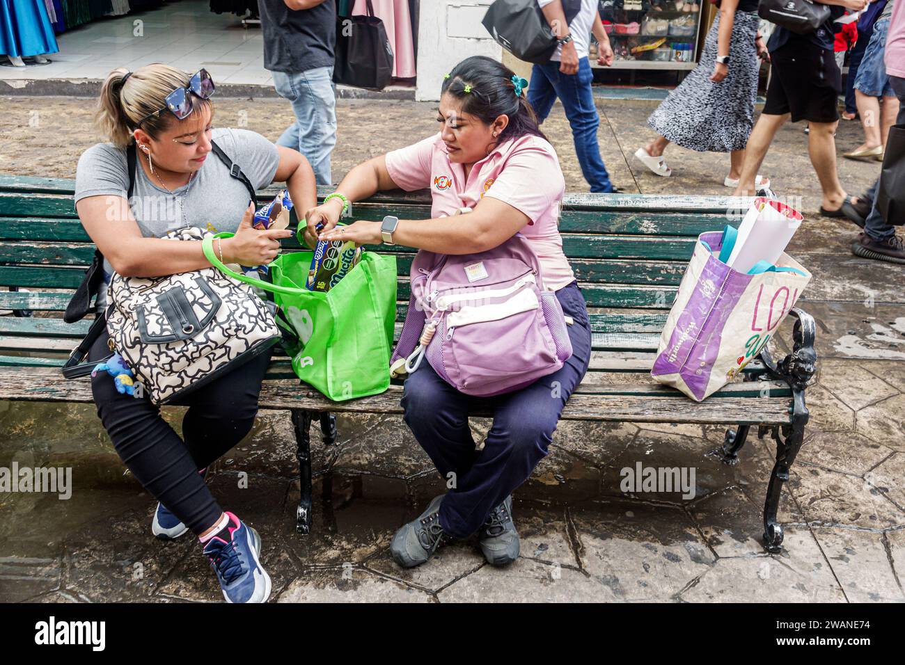Merida Mexico, zentrales historisches Viertel, Frauen weibliche Frauen, Erwachsene, bewohnte Freunde, sitzende öffentliche Bank, Fußgänger, Gehsteige Stockfoto