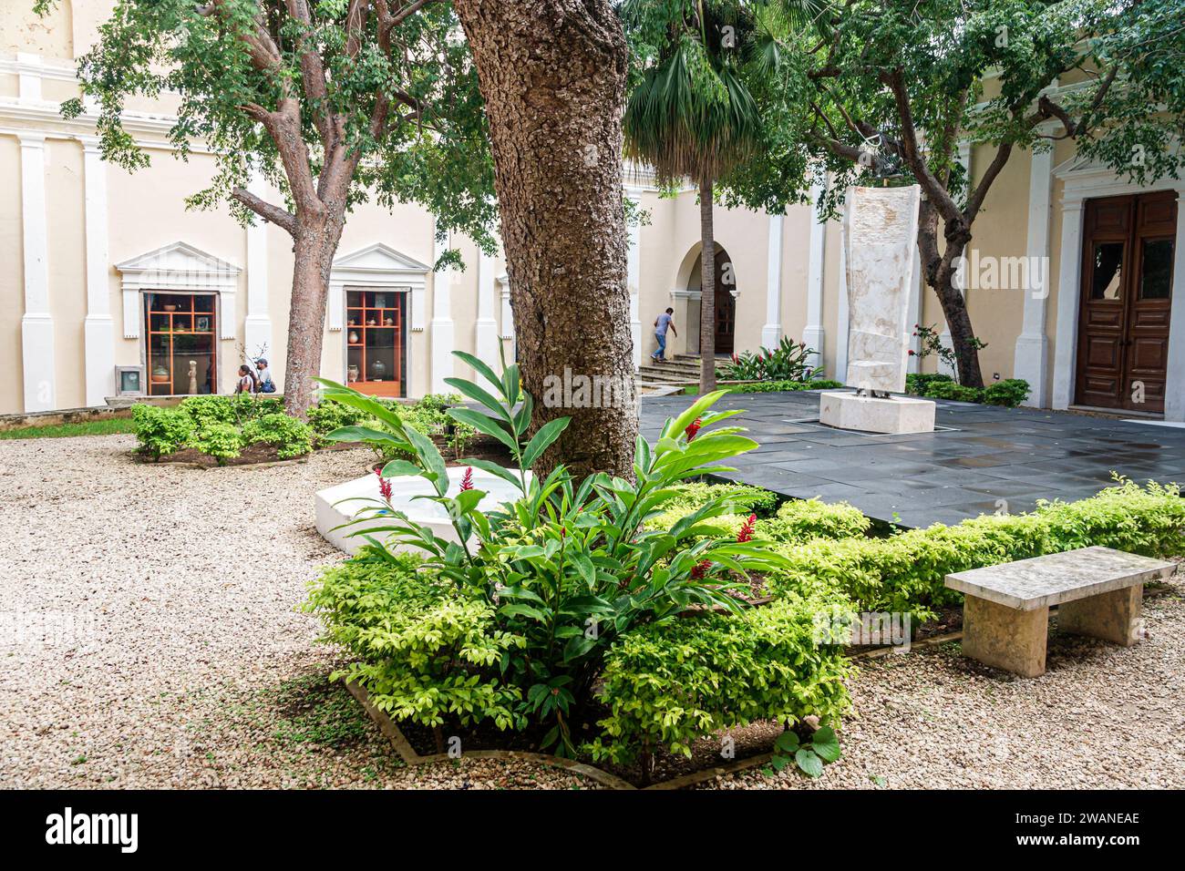 Merida Mexico, zentrales historisches Zentrum, Casa Montejo Museo House Museum, Innenhof, mexikanische Hispanic Latino, Spanisch sprechen Stockfoto