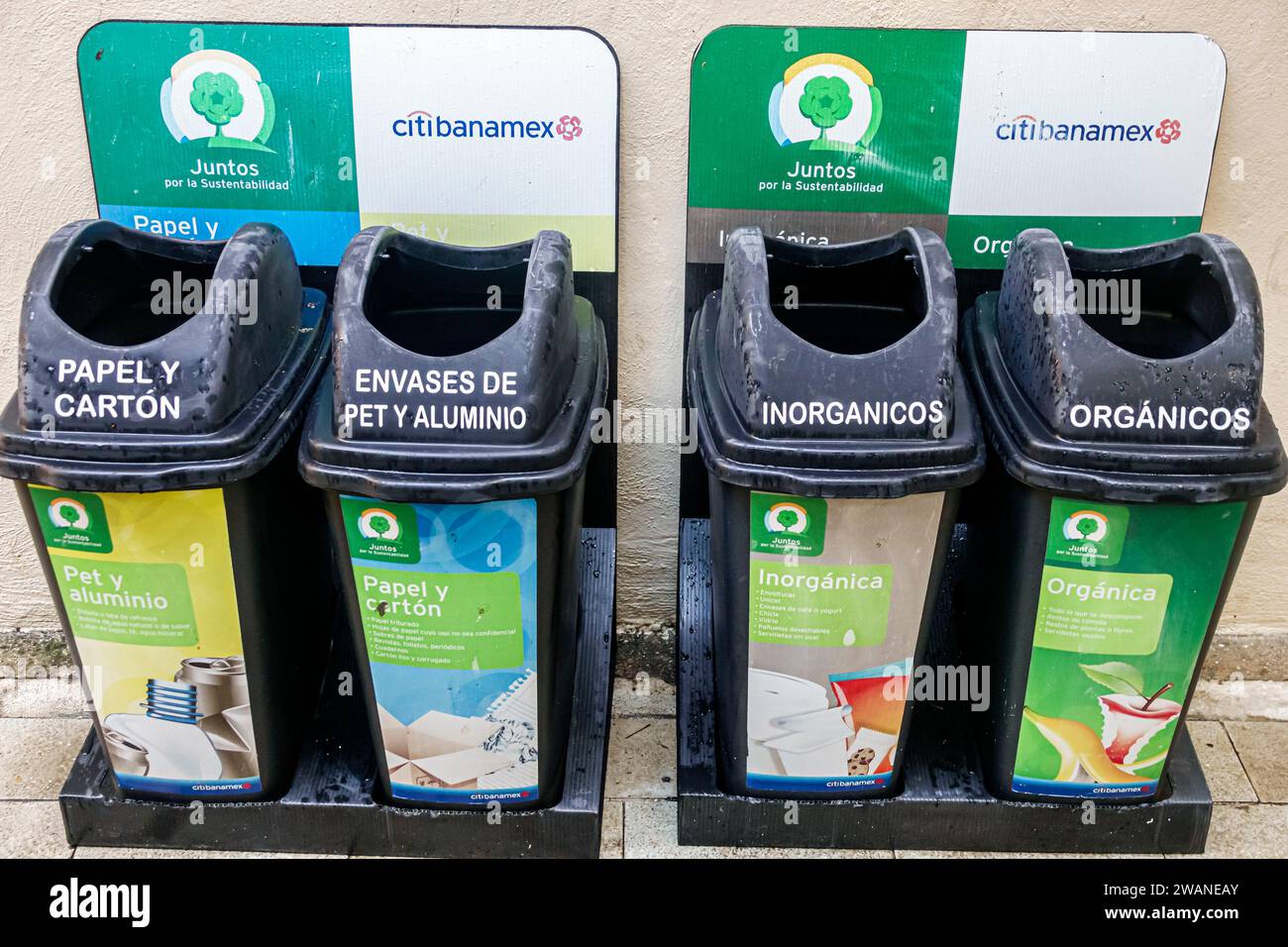 Merida Mexico, Centro Historico Central Historico Central Historico, Casa Montejo Museo House Museum, Recyclingbehälter Dosen, organisches anorganisches Papier Aluminium, Citibana Stockfoto