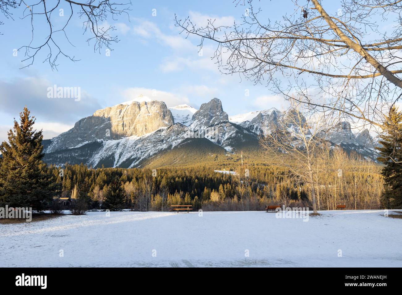Canmore, Alberta, Kanada. Blick nach Westen in Richtung Mount Rundle vom Riverside Park an einem Wintermorgen. Stockfoto