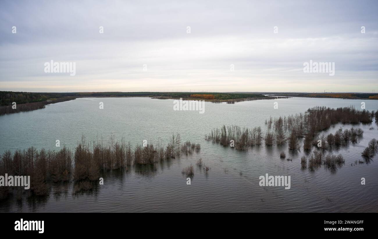 Vogelperspektive auf Sedlitzer sehen. In der Umgebung von Senftenberg. Deutschland. Bundesland Brandenburg. Stockfoto