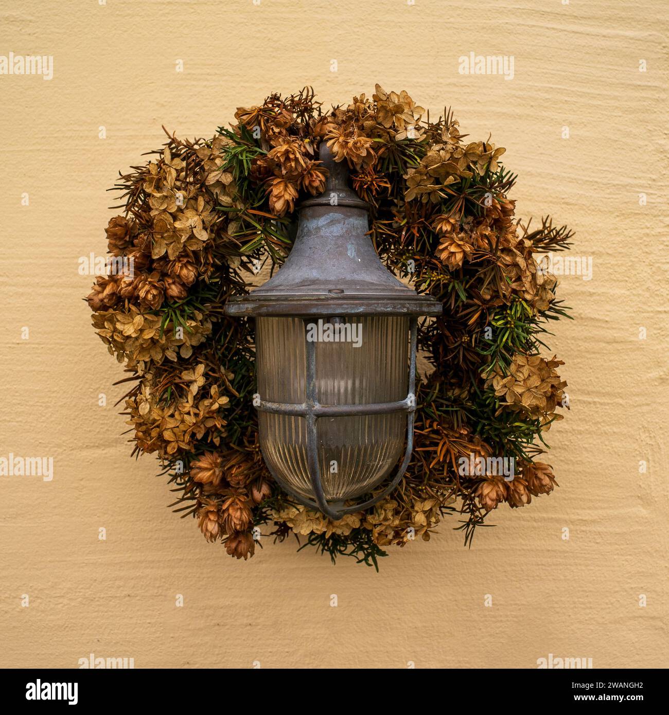 Getrockneter Blumenkranz um eine elektrische Lampe. Hintergrund. Stockfoto