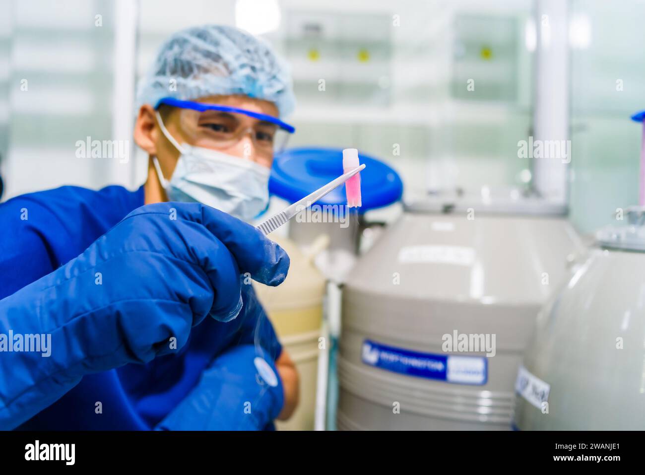 Arzt im Betrieb Gefriereier in Laborlagerung der in-vitro-Fertilisation. Stockfoto