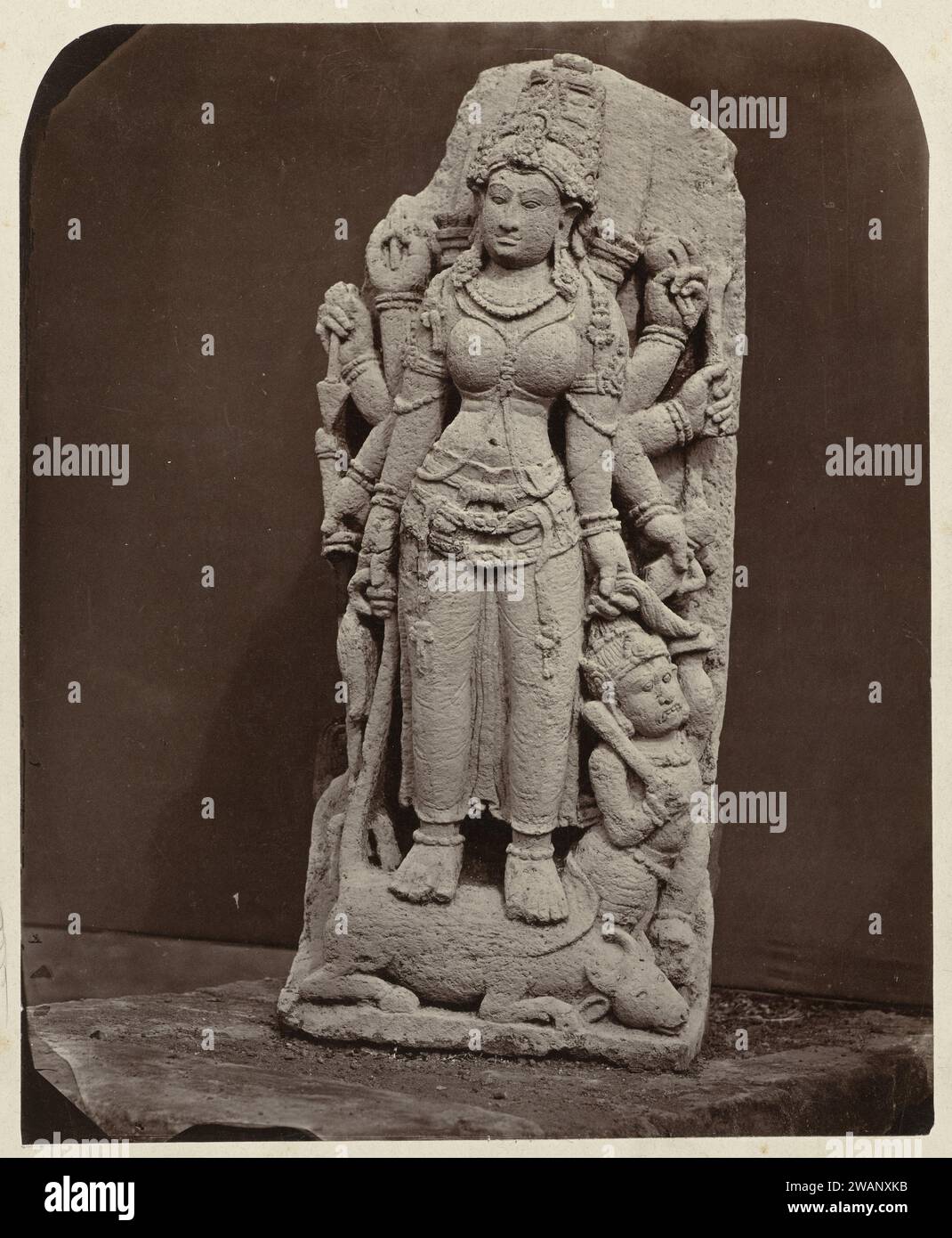 Acht bewaffnete Durga tötet den Dämon Mahisha. Dieng Plateau, Bezirk Wonosobo, Provinz Zentral-Java 9.-10. Jahrhundert, 1864 Foto die Göttin Durga steht auf dem besiegten Dämonenführer Mahisha, der die Form eines Büffelpapiers annahm. Unterstützung für Fotos. Albumendruck aus Pappe Stockfoto