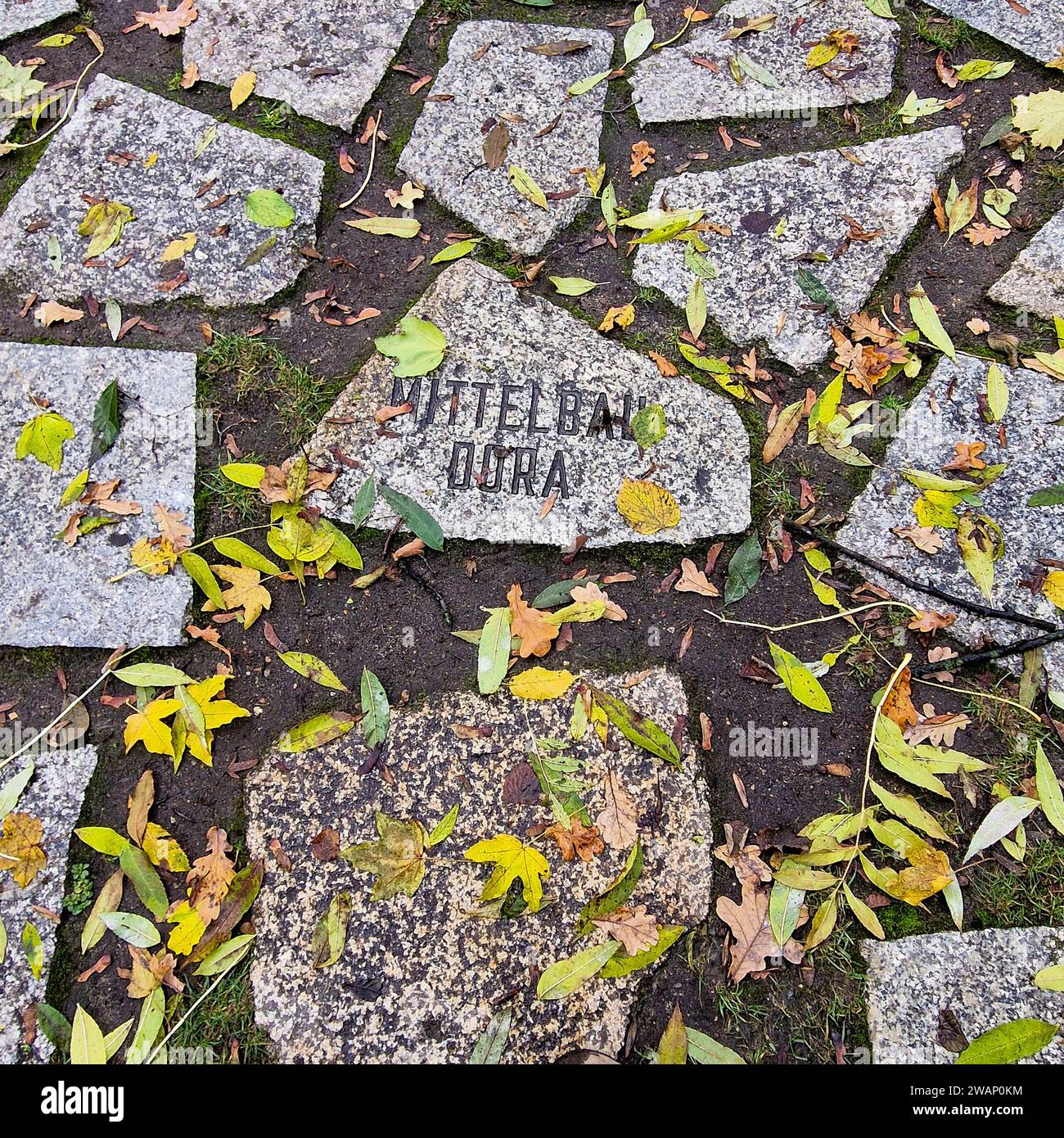 Berlin, Brandenburg, Deutschland Stockfoto