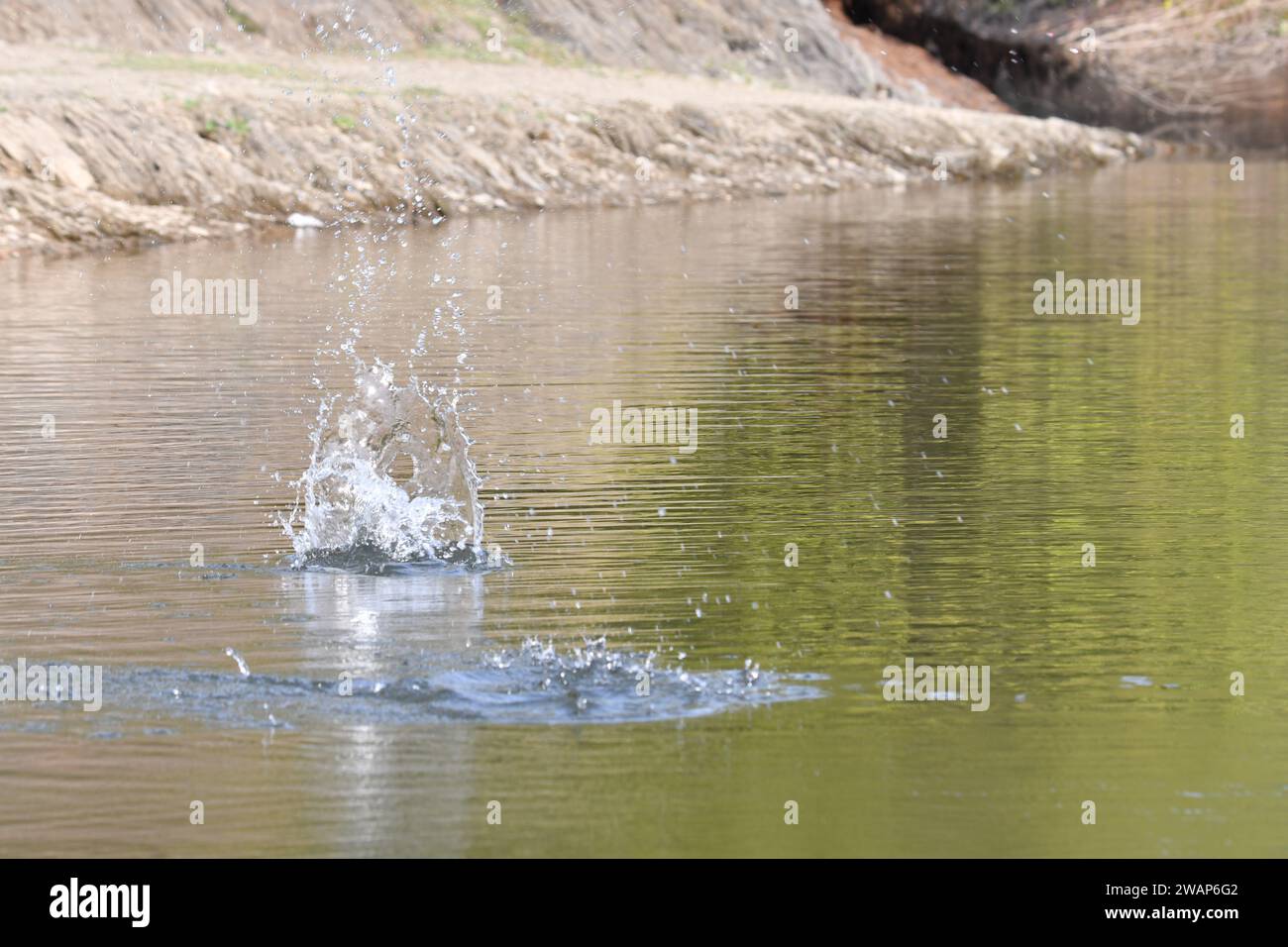 Wasser springen Stockfoto