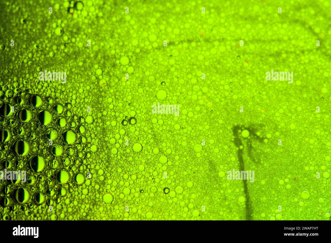 Blasen, die mit Seife und Wasser in Speiseöl mit Hintergrundbeleuchtung durch grünes Foto-Gel hergestellt werden Stockfoto
