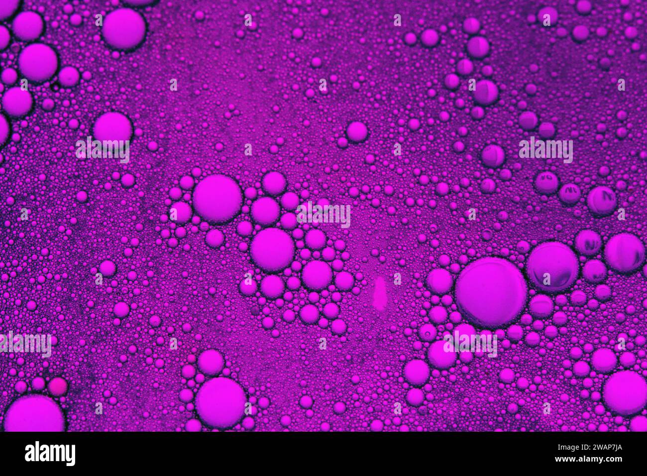 Blasen, die mit Seife und Wasser in Speiseöl mit Hintergrundbeleuchtung durch blaues Foto-Gel gemischt werden Stockfoto