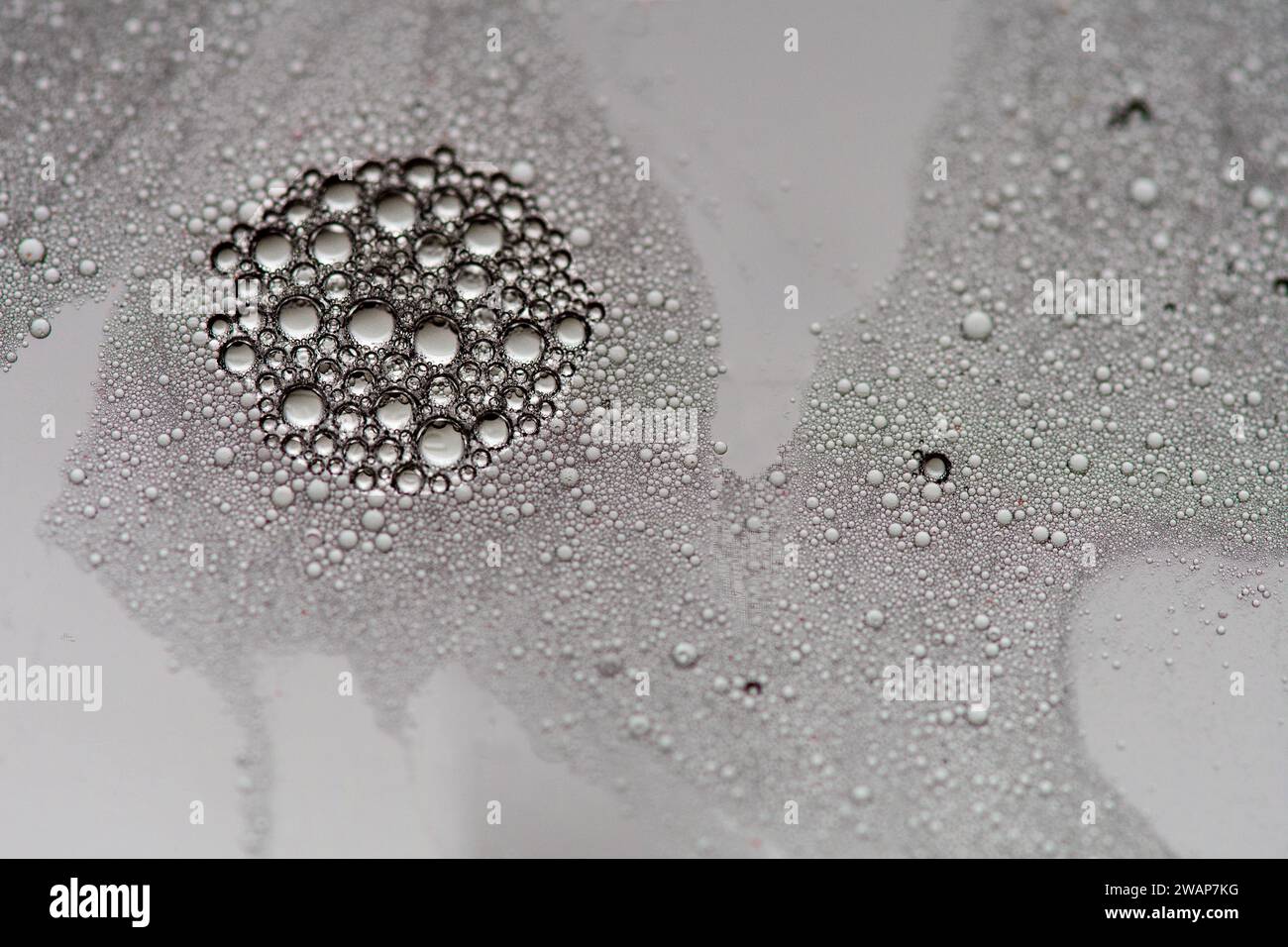 Blasen, die mit Seife und Wasser in Speiseöl mit Hintergrundbeleuchtung durch transparentes Foto-Gel hergestellt werden Stockfoto