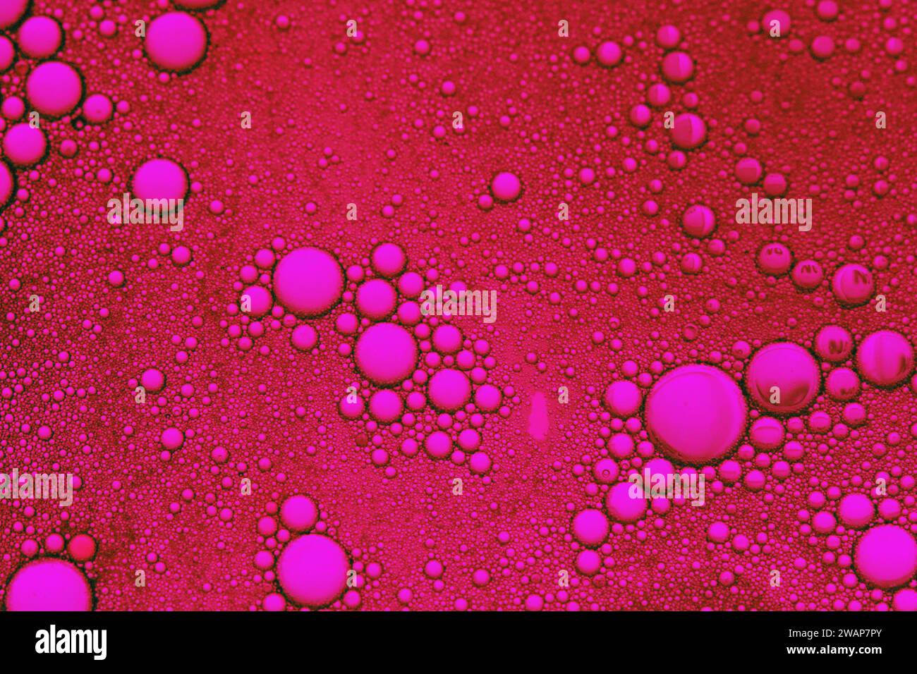 Blasen, die mit Seife und Wasser in Speiseöl mit Hintergrundbeleuchtung durch rotes Foto-Gel gemischt werden Stockfoto