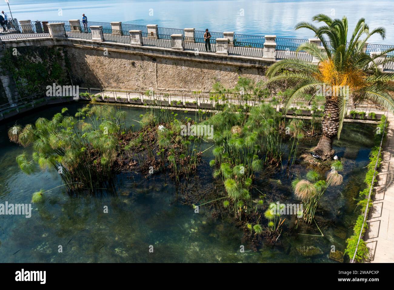 Syrakus, Italien-9. Mai 2022: Blick auf den Fonte Aretusa auf der Insel Ortigia in Syrakus an einem sonnigen Tag Stockfoto