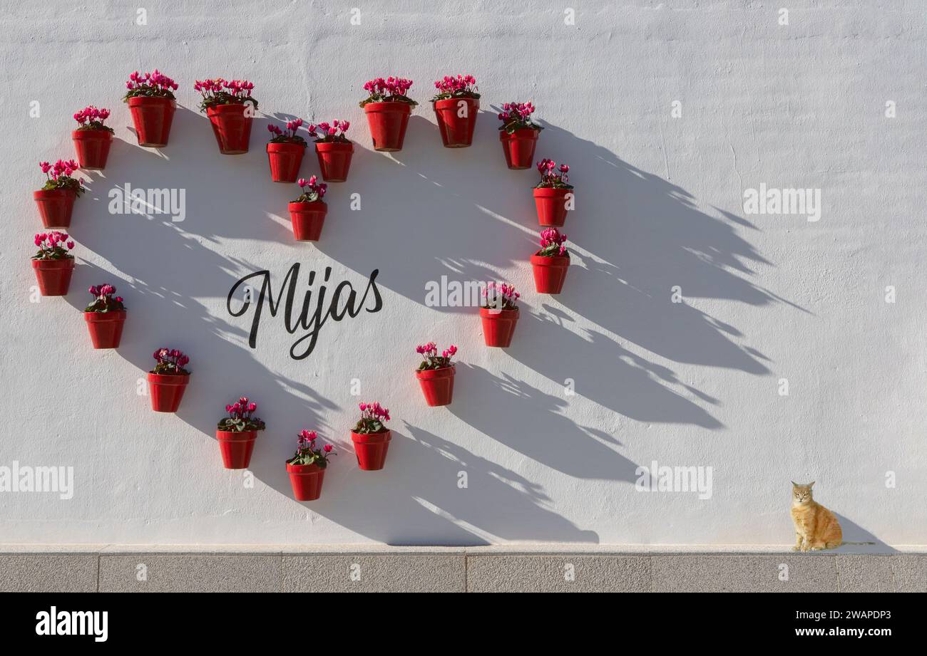 Herzförmige Zyklamen in Töpfen, Teil eines Schildes für die Stadt Mijas in der Provinz Malaga, Andalusien, Spanien. Stockfoto