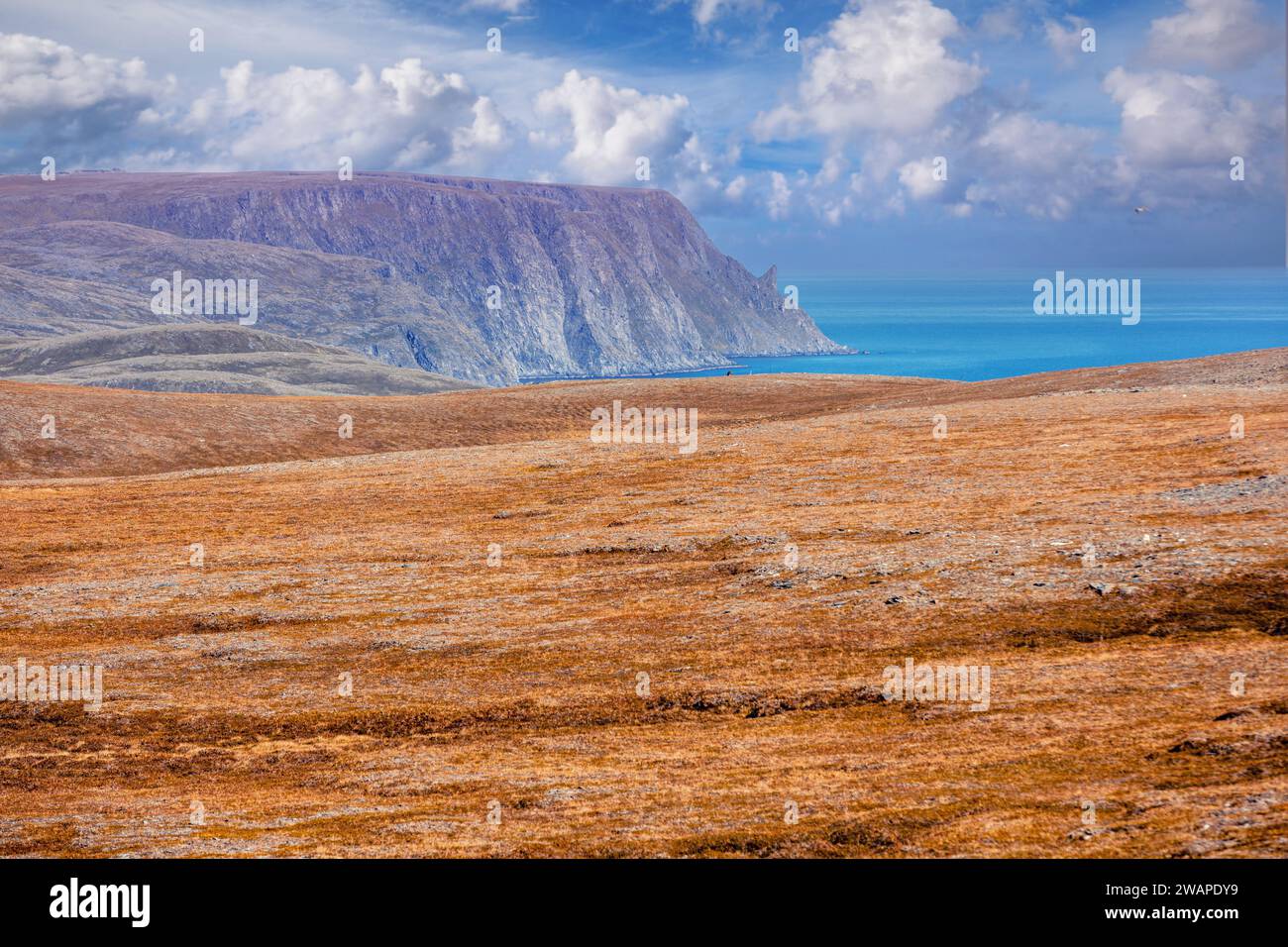 Rocky Barents Küste. Schöne Landschaft, Wildnis. Nordkap. Nordkapp, Norwegen Stockfoto