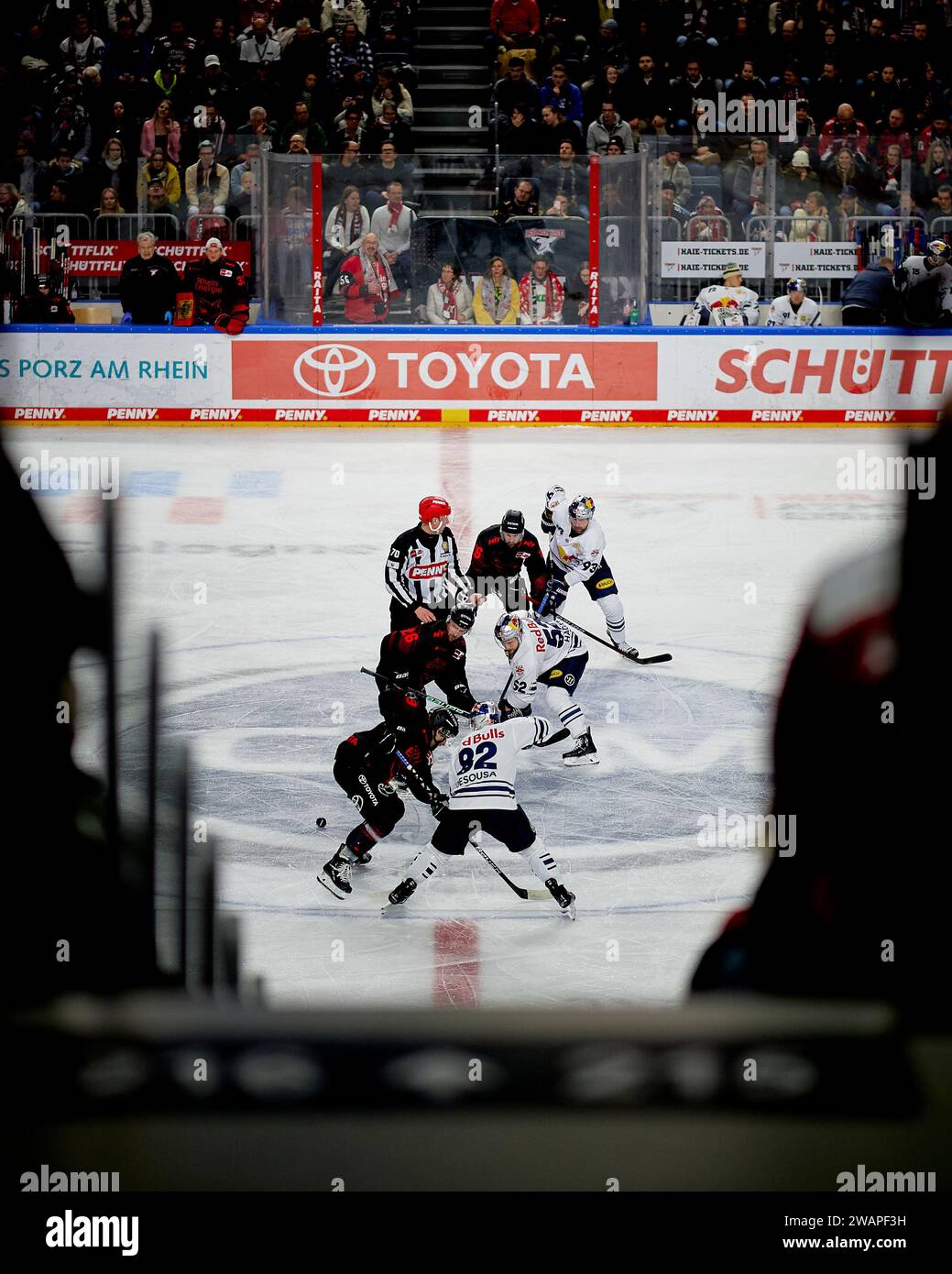 KLN - 5. JANUAR 2024: Hockeyspiel Von Penny DEL Koelner Haie - Red Bull Mnchen In Der Lanxess