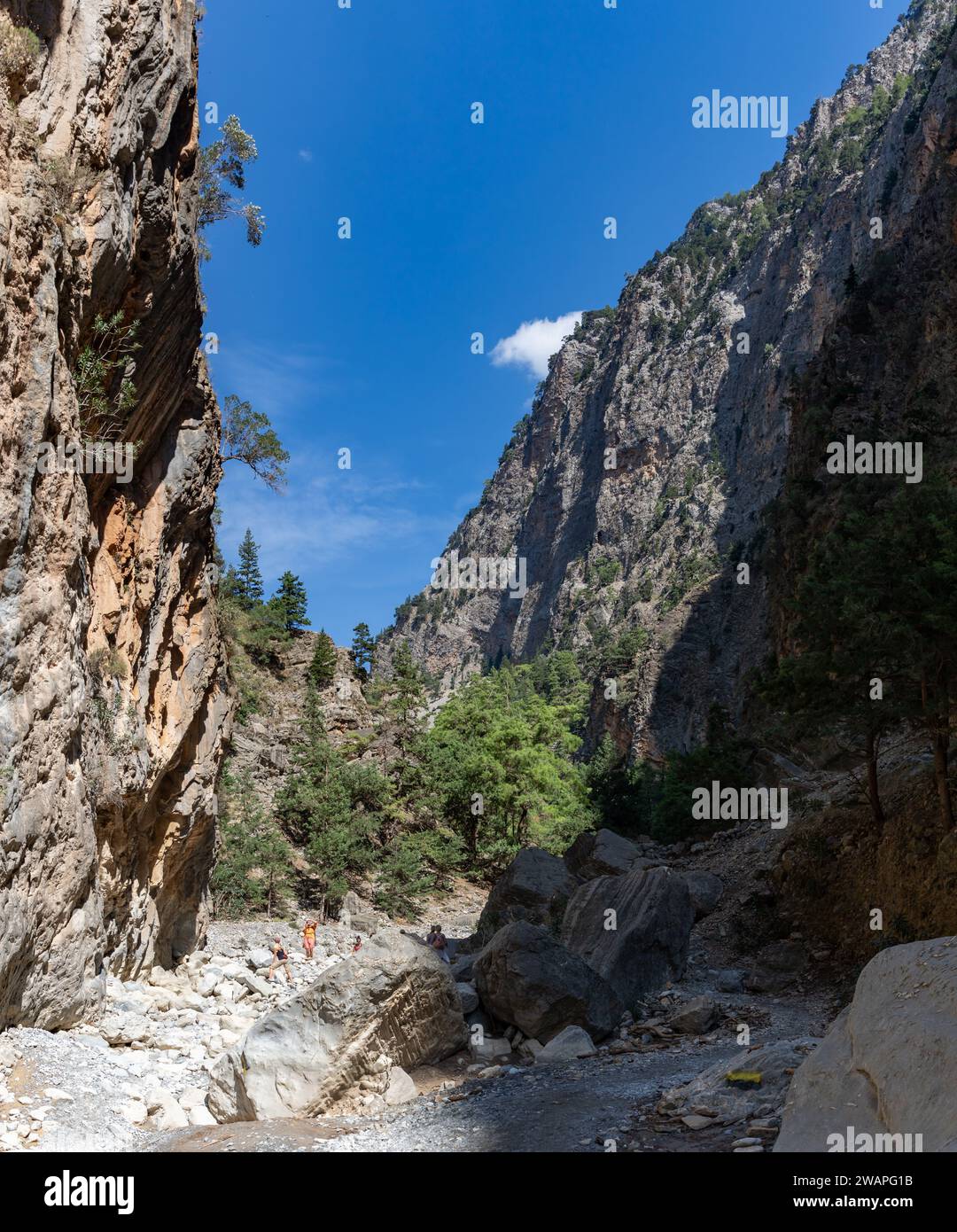 Ein Bild der klassischen Landschaft der Samaria-Schlucht mit Felsen auf dem Boden und umliegenden Bäumen und Bergen. Stockfoto