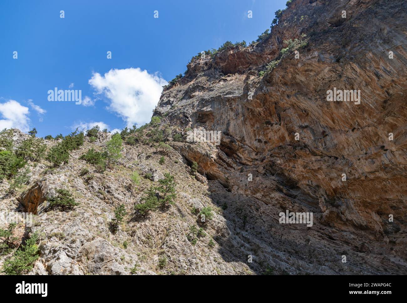 Ein Bild der zerklüfteten Landschaft der Samaria-Schlucht, vom Boden aus gesehen. Stockfoto
