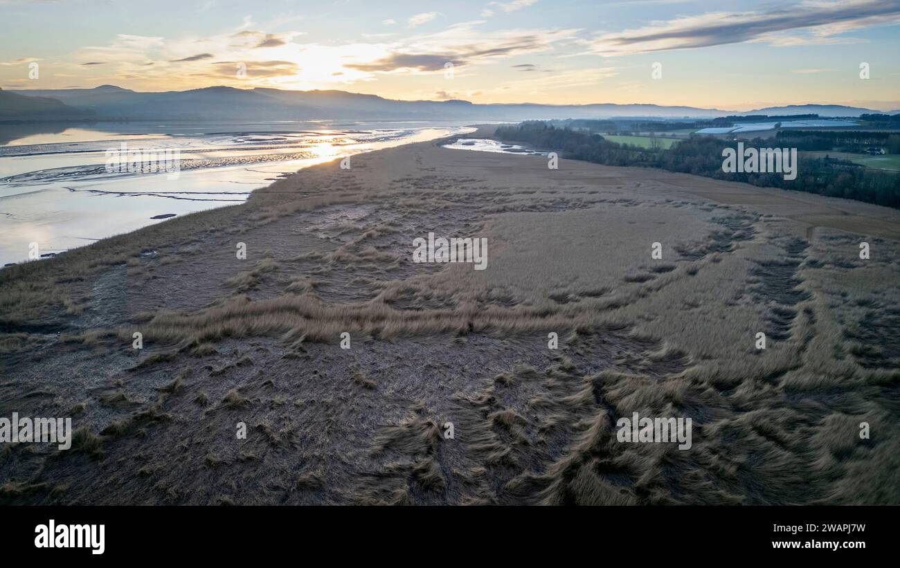 Aus der Vogelperspektive auf die Schilfbeete am Nordufer des Flusses Tay, Errol, Perthshire, Schottland. Stockfoto