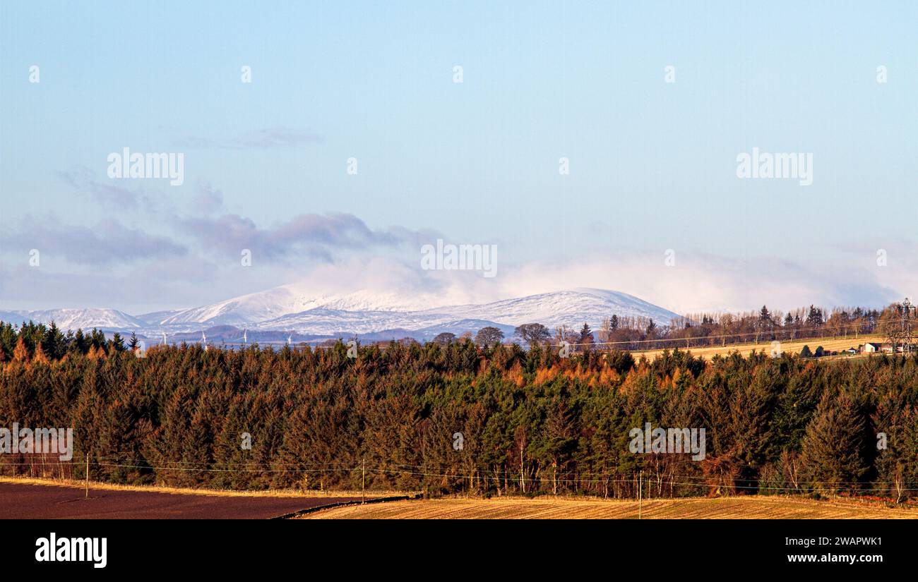 Dundee, Tayside, Schottland, Großbritannien. Januar 2024. Wetter in Großbritannien: Die wunderschöne Wintersonne mit Morgenfrost bietet einen fantastischen Blick auf die Sidlaw Hills und das Strathmore Valley im ländlichen Dundee, Schottland. Quelle: Dundee Photographics/Alamy Live News Stockfoto