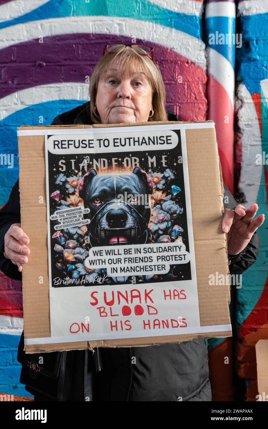 High Street, Southend on Sea, Essex, Großbritannien. Januar 2024. Demonstranten haben in Southends High Street Namen auf einer Petition gegen das Verbot von XL-Bullhunden gesammelt. Die britische Regierung Verbot die XL-Bully-Rasse gemäß dem Dangerous Dogs Act 1991 nach einer Reihe schwerer und in einigen Fällen tödlicher Angriffe. Stockfoto
