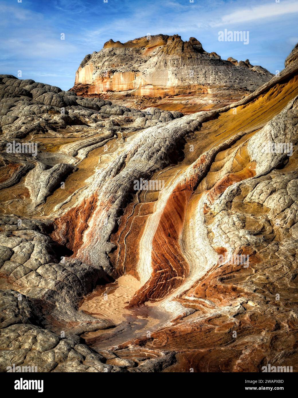 Der ungewöhnlich geformte Stein der White Pocket im Vermillion Cliffs National Monument in Arizona. Stockfoto