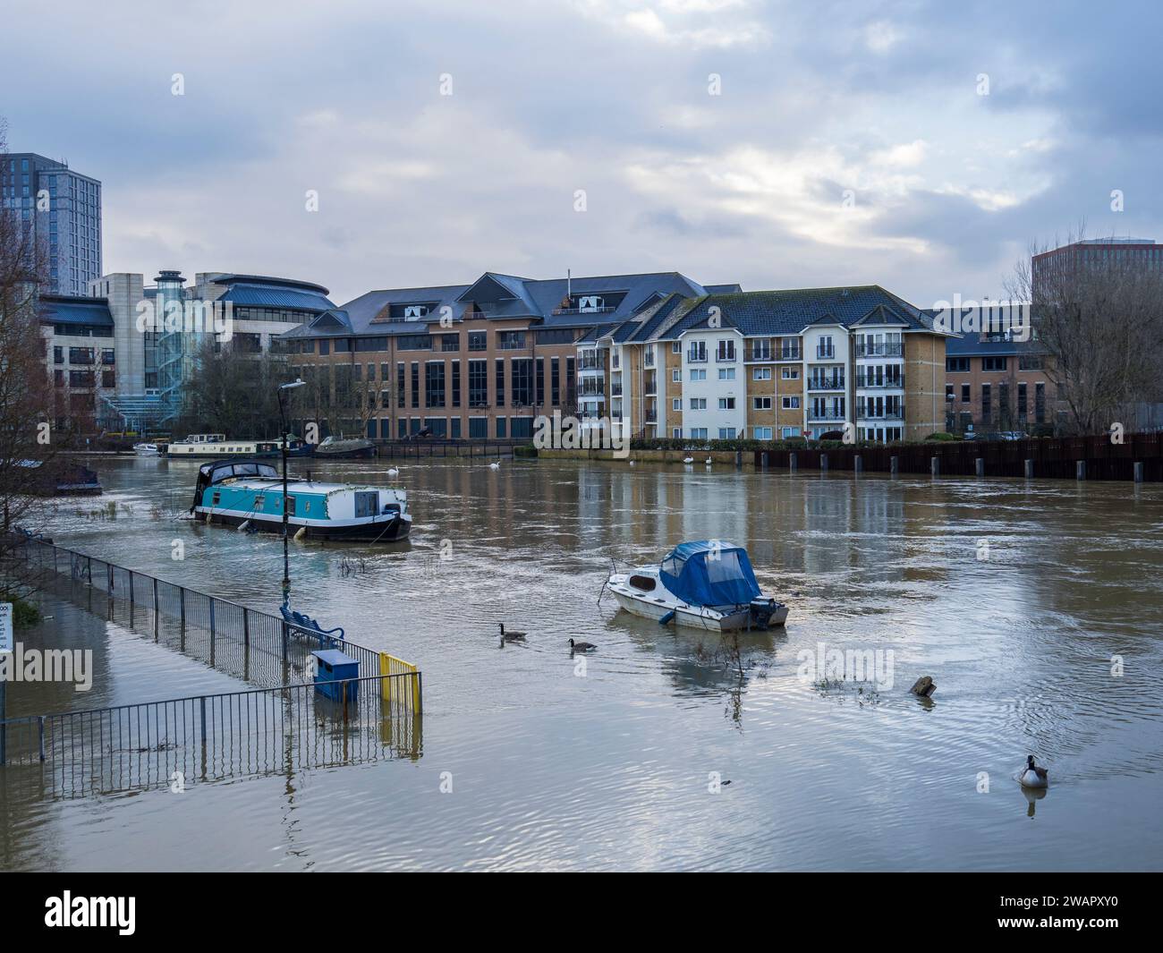 Flutwasser, Themse, Christchurch Meadows, Caversham, Reading, Berkshire, England, Großbritannien, GB. Stockfoto