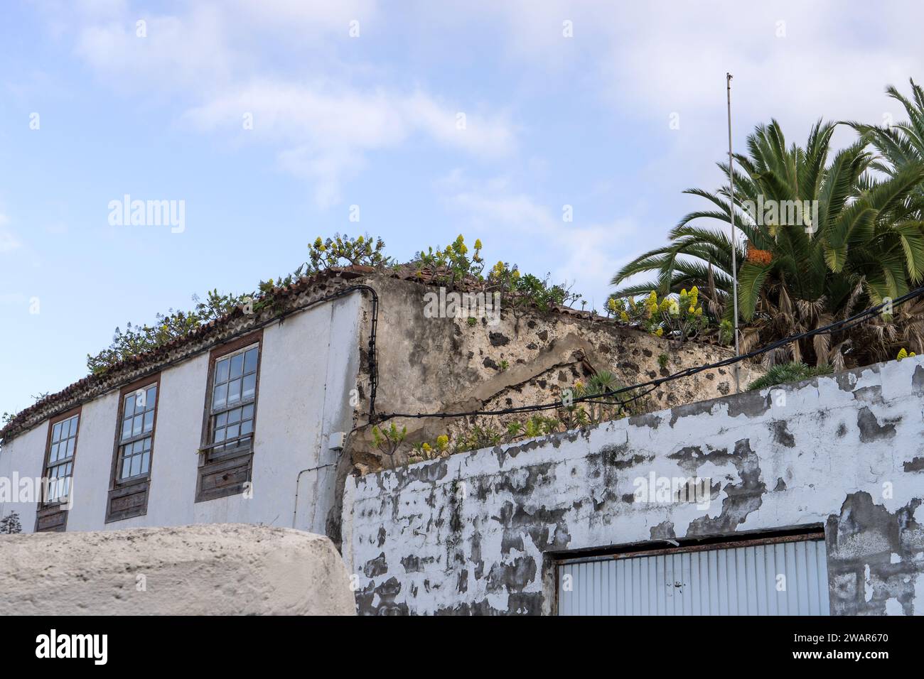 Detailaufnahme der mit Pflanzen bedeckten Dächer in Icod de los Vinos, Teneriffa, Spanien Stockfoto