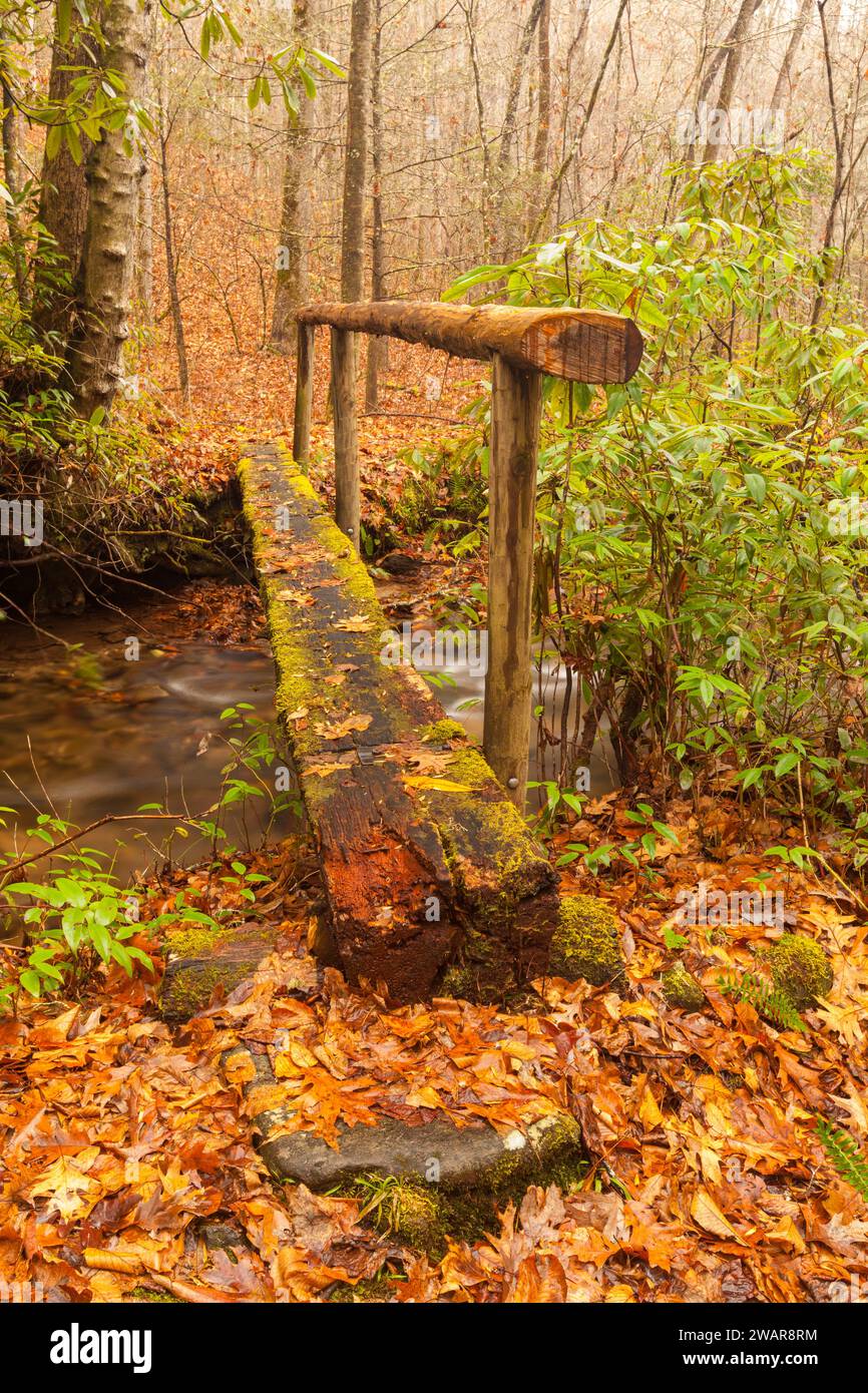Mingus Creek Cemetery Trail in den Great Smoky Mountains Stockfoto
