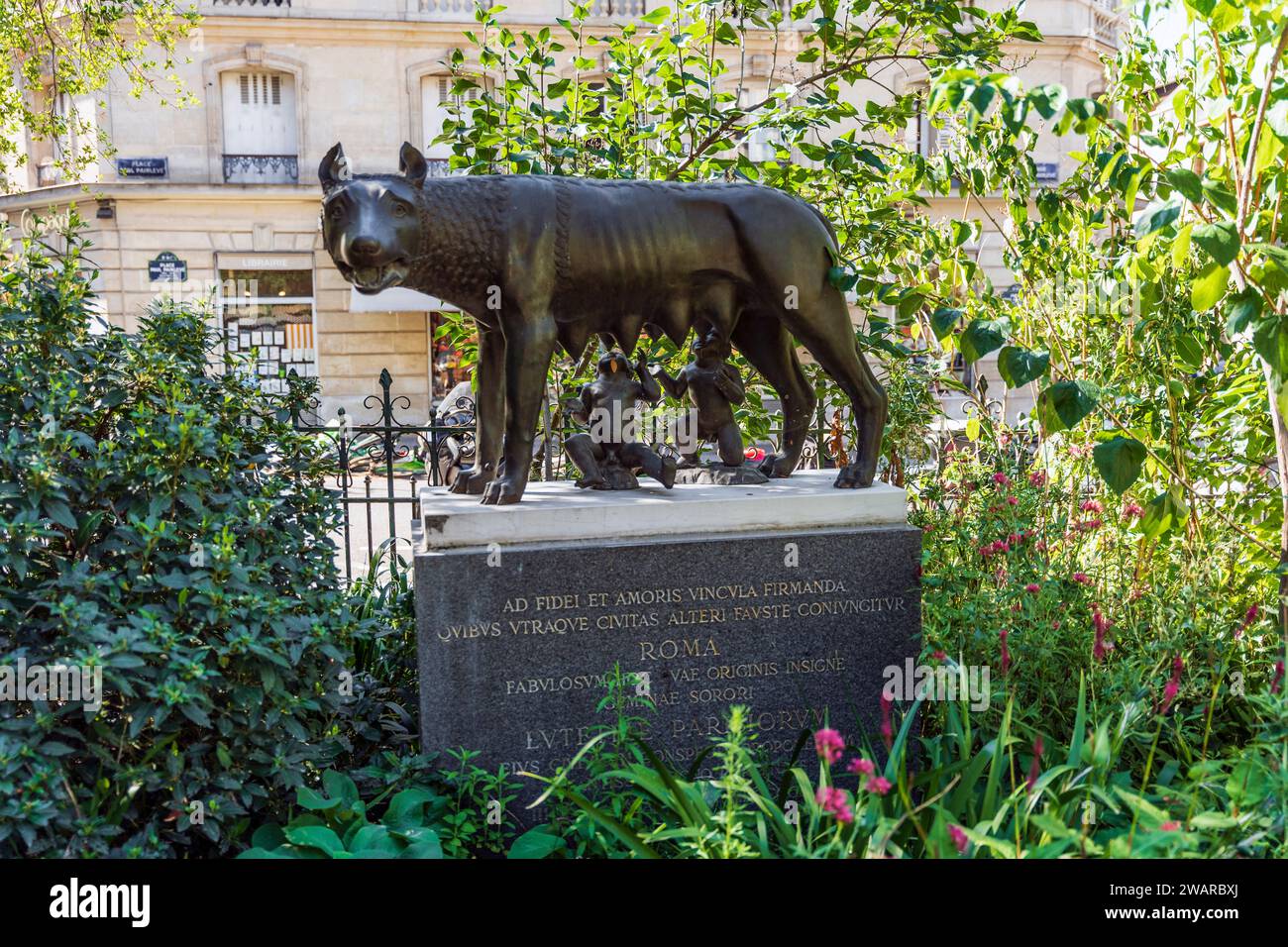Bronze-Nachbildung des römischen Kapitolinischen Wolfs auf dem Platz Samuel Paty in der Rue des Ecoles, 5. Arrondissement, Paris Stadtzentrum, Frankreich Stockfoto