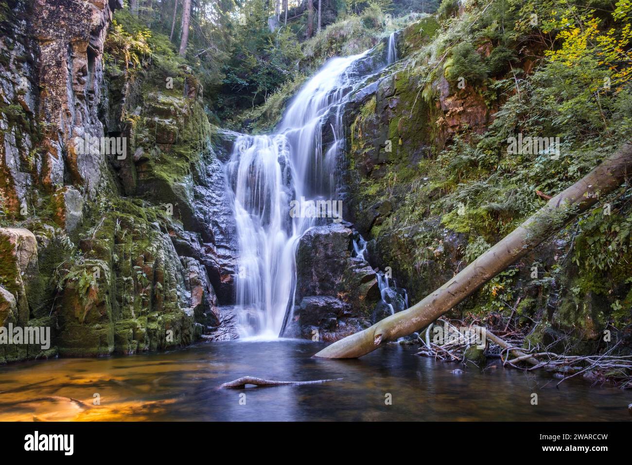Ein wunderschöner Wasserfall namens Kamienczyk aus der Nähe, mit einem Baumstamm im Wasser. Erschossen in den Bergen einer Stadt namens szklarska poreba in Polen Stockfoto