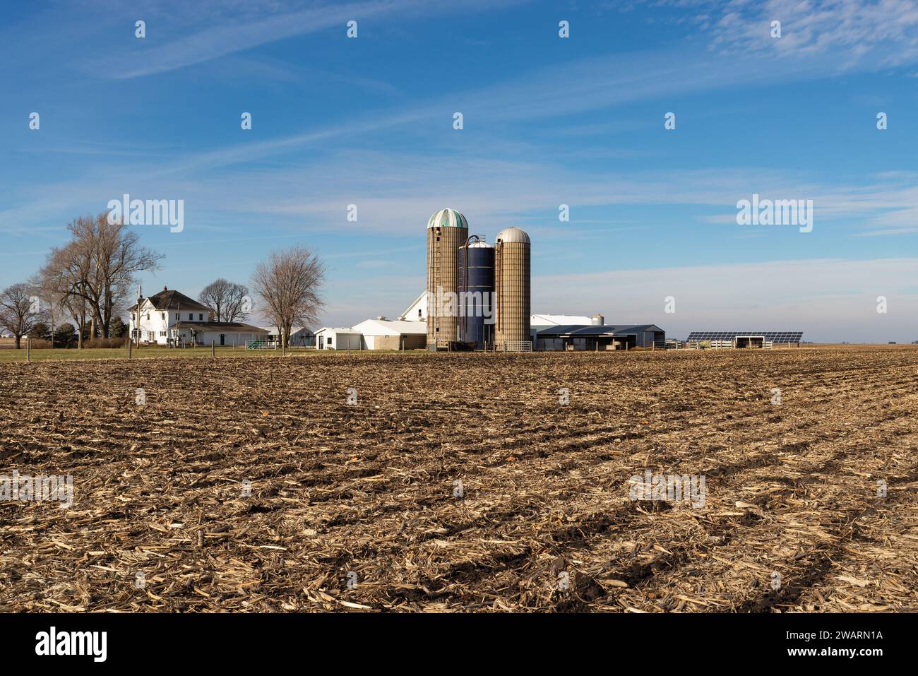 Farm und Silos an einem sonnigen Wintertag im Livingston County, Illinois, USA. Stockfoto