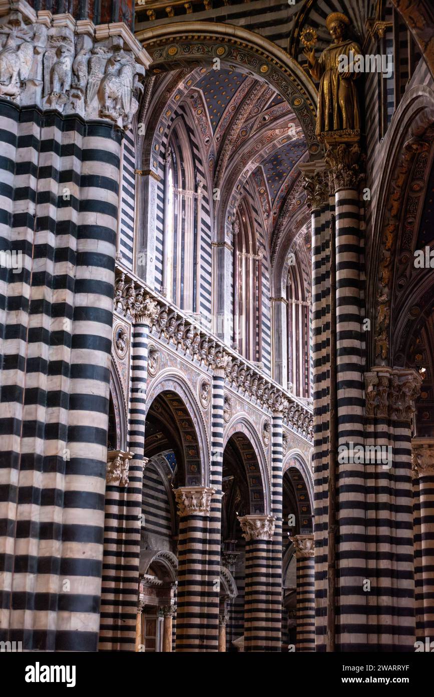 SIENA, ITALIEN - 23. SEPTEMBER 2023 - Büsten von Päpsten schmücken das Kirchenschiff der Kathedrale von Siena in Italien Stockfoto