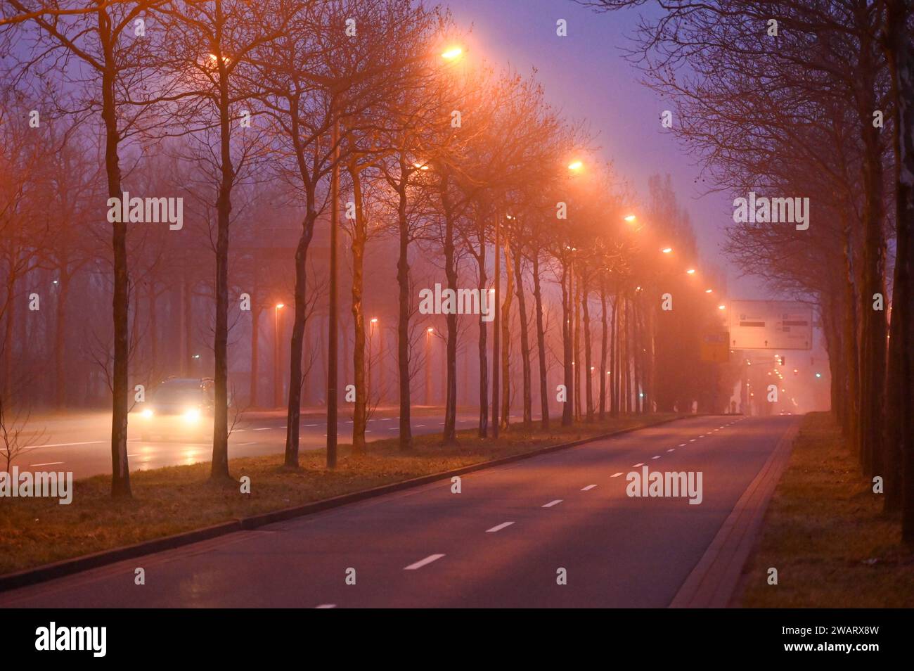 Leipzig - Nebeliger Start in den Samstagabend 06.01.2024 gegen 17 Uhr Leipzig, Messe-Allee im Foto: Eine Straße wird bei Nebel beleuchtet. In der Nacht zu Sonntag bleibt der Himmel in Sachsen bedeckt, teilweise ist es neblig - wie auch in Leipzig. Stellenweise schneit es leicht, dabei kann es glatt sein. Die Tiefstwerte liegen zwischen -2 und -4 Grad. Leipzig Sachsen Deutschland *** Leipzig Nebel Start zum Samstagabend 06 01 2024 um 17 Uhr Leipzig, Messe Allee auf dem Foto wird nachts auf Sonntag Eine Straße im Nebel beleuchtet der Himmel in Sachsen bleibt bewölkt, teilweise auch nebelig Stockfoto