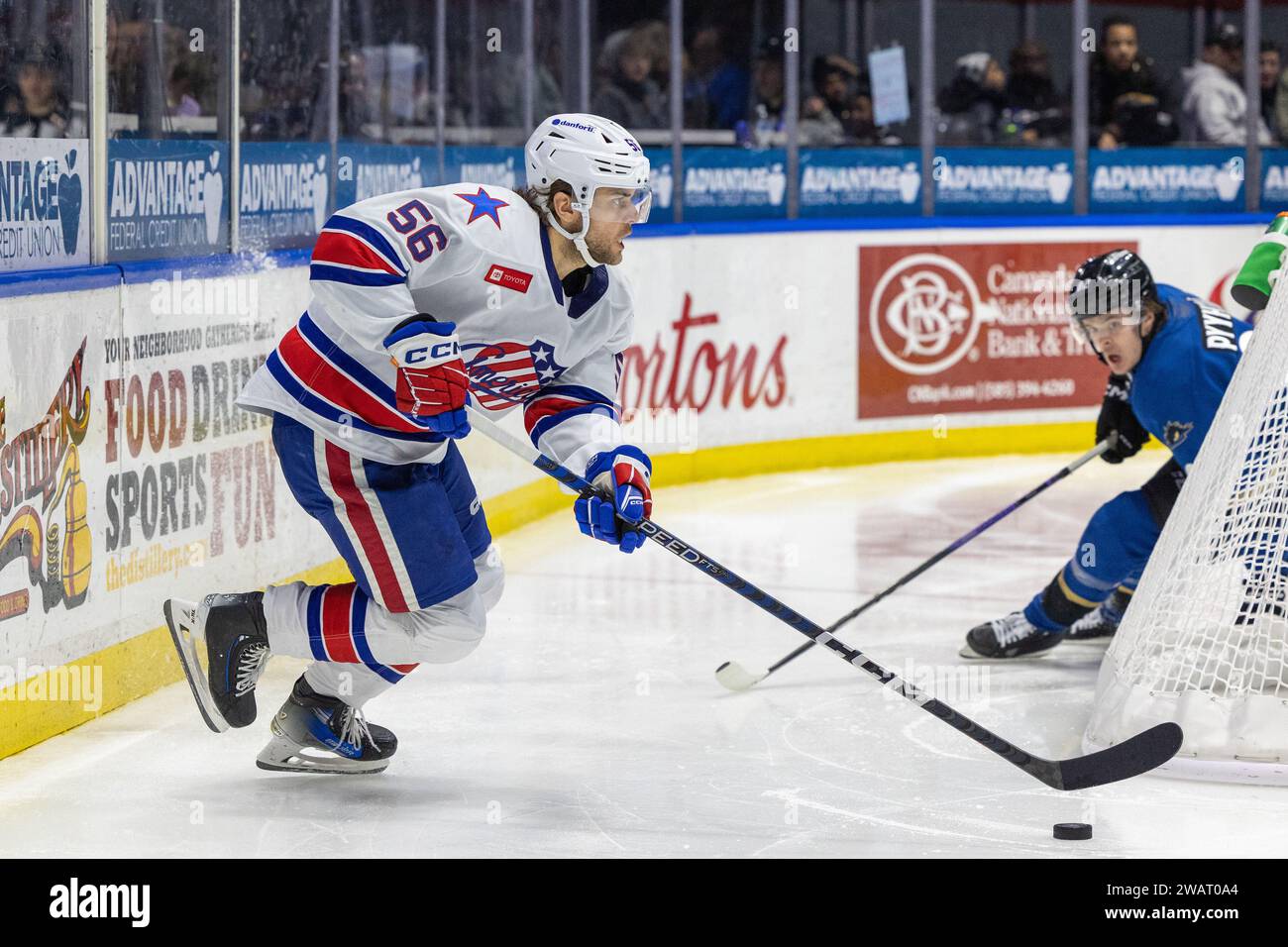 5. Januar 2024: Rochester American Defenseman Kale Clague (56) skatet in der dritten Periode gegen die Cleveland Monsters. Die Rochester Americans veranstalteten die Cleveland Monsters in einem Spiel der American Hockey League in der Blue Cross Arena in Rochester, New York. (Jonathan Tenca/CSM) Stockfoto