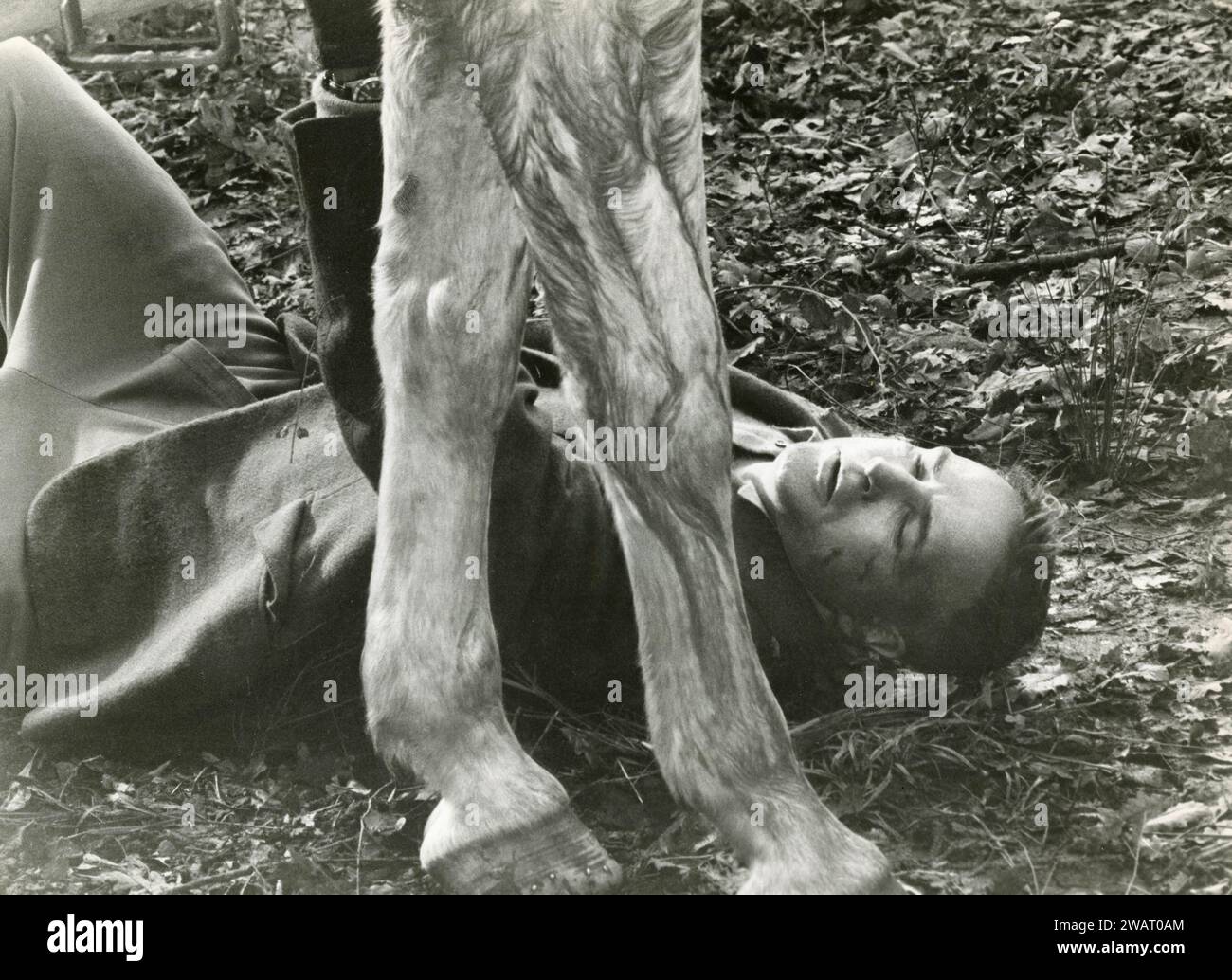 Der US-amerikanische Schauspieler Marlon Brando in dem Film Reflections in a Golden Eye, USA 1967 Stockfoto