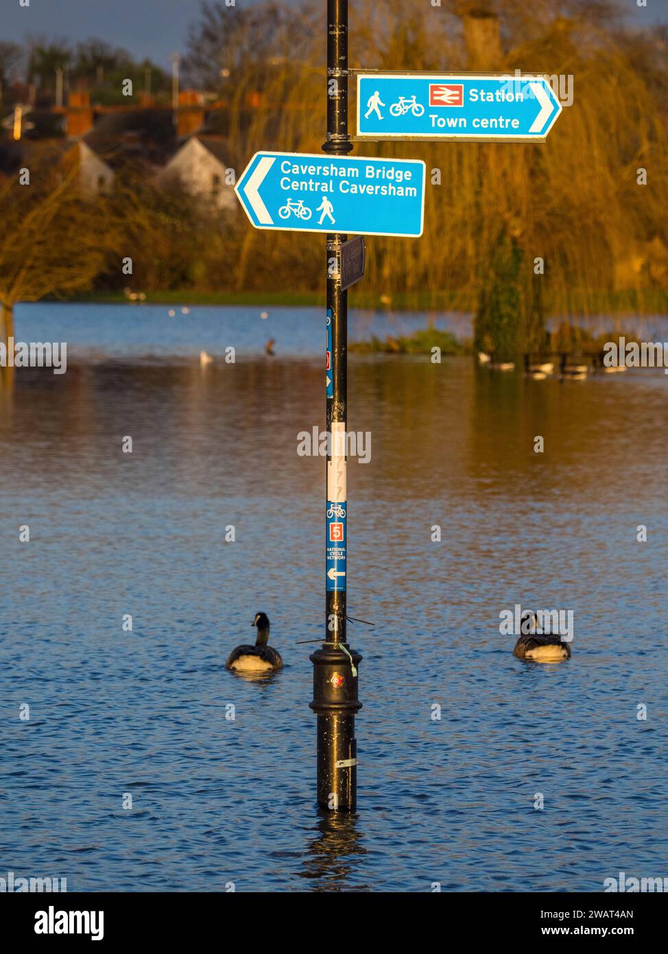 Wegweiser auf überfluteten Christchurch Meadows, Caversham, Reading, Berkshire, England, GROSSBRITANNIEN, GB. Stockfoto