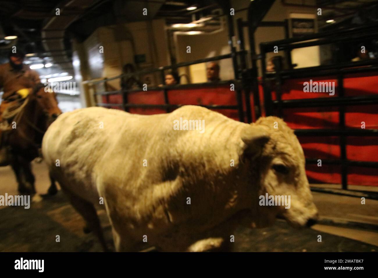 Madison Square Garden, 4 Pennsylvania Plaza, New York, NY 10001 USA