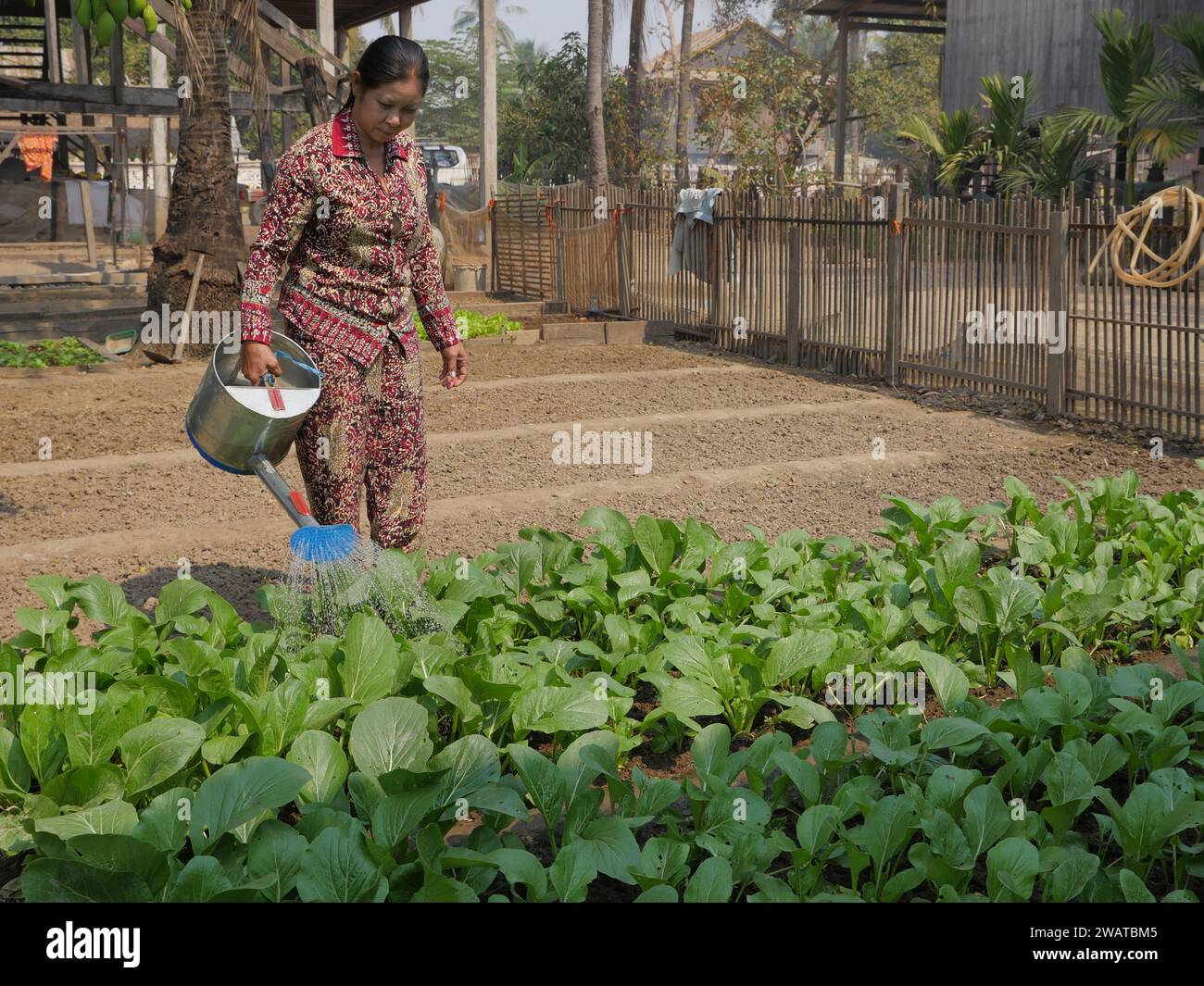 KAMBODSCHA hat Treng gestochen, Dorfleben. Frau in ihrem Garten. Stockfoto