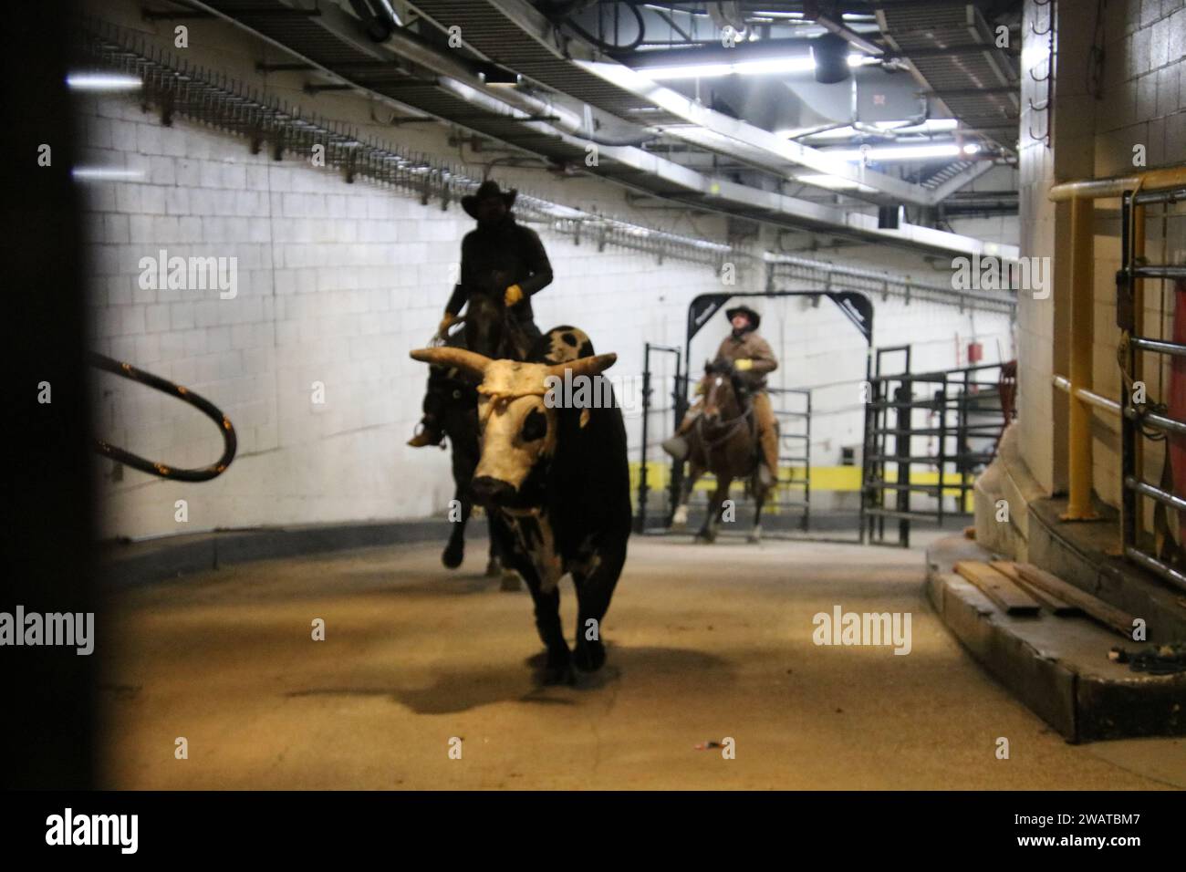 Madison Square Garden, 4 Pennsylvania Plaza, New York, NY 10001 USA