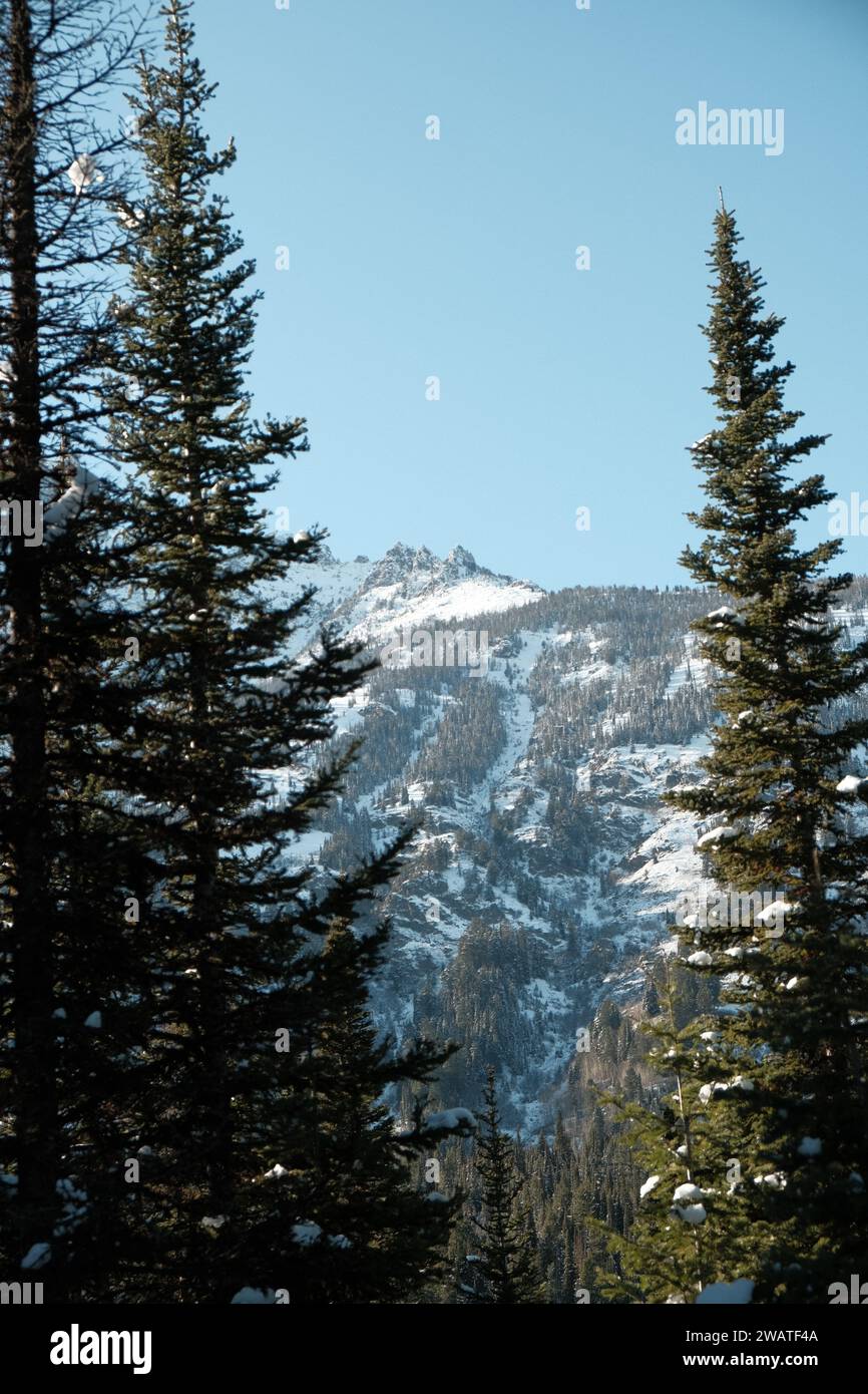 Jenny Lake, Teton National Park, Wyoming Stockfoto