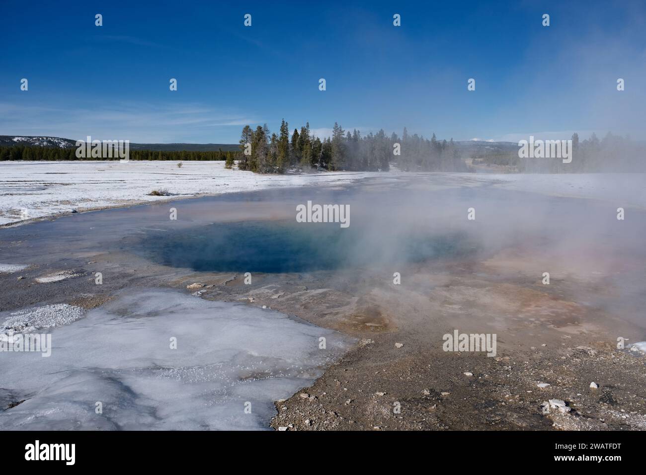 West Thumb Geyser Yellowstone National Park Stockfoto