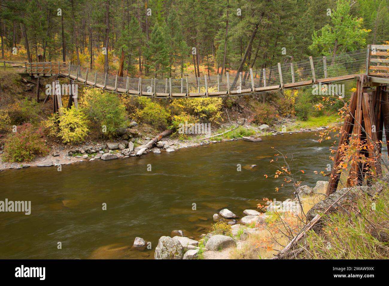 Rock Creek Bridge bei willkommen Creek Trailhead, Lolo National Forest in Montana Stockfoto