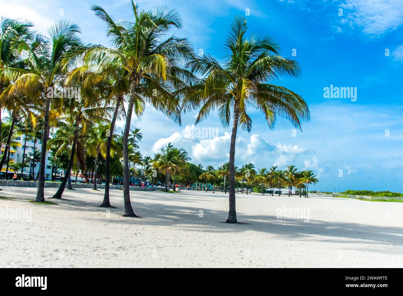 Erkunden Sie Biscayne Bay, Floridas Küstenjuwel: Eine riesige Mündung, die sich von North Miami Beach bis zu den Florida Keys erstreckt. Entdecken Sie das dynamische Meeresökosyst Stockfoto