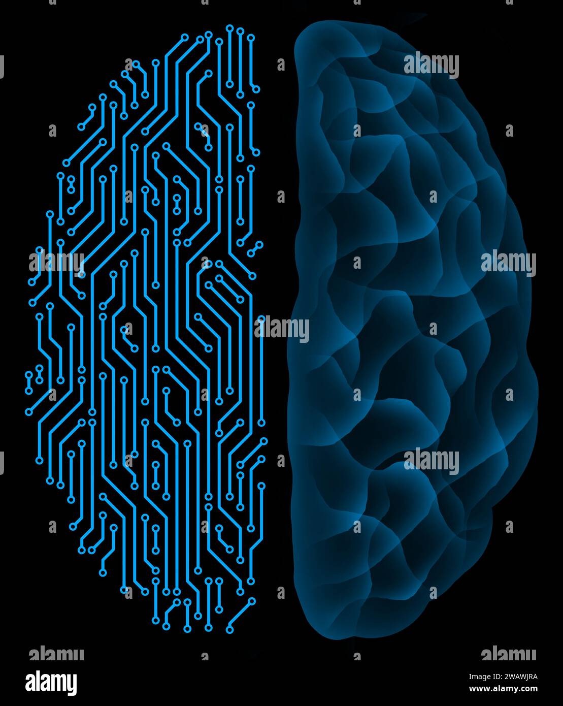 Künstliches Intelligenzkonzept mit Halbkreis-menschlichem Gehirn und halbholographischer Neonglühlhirn-Draufsicht Stockfoto